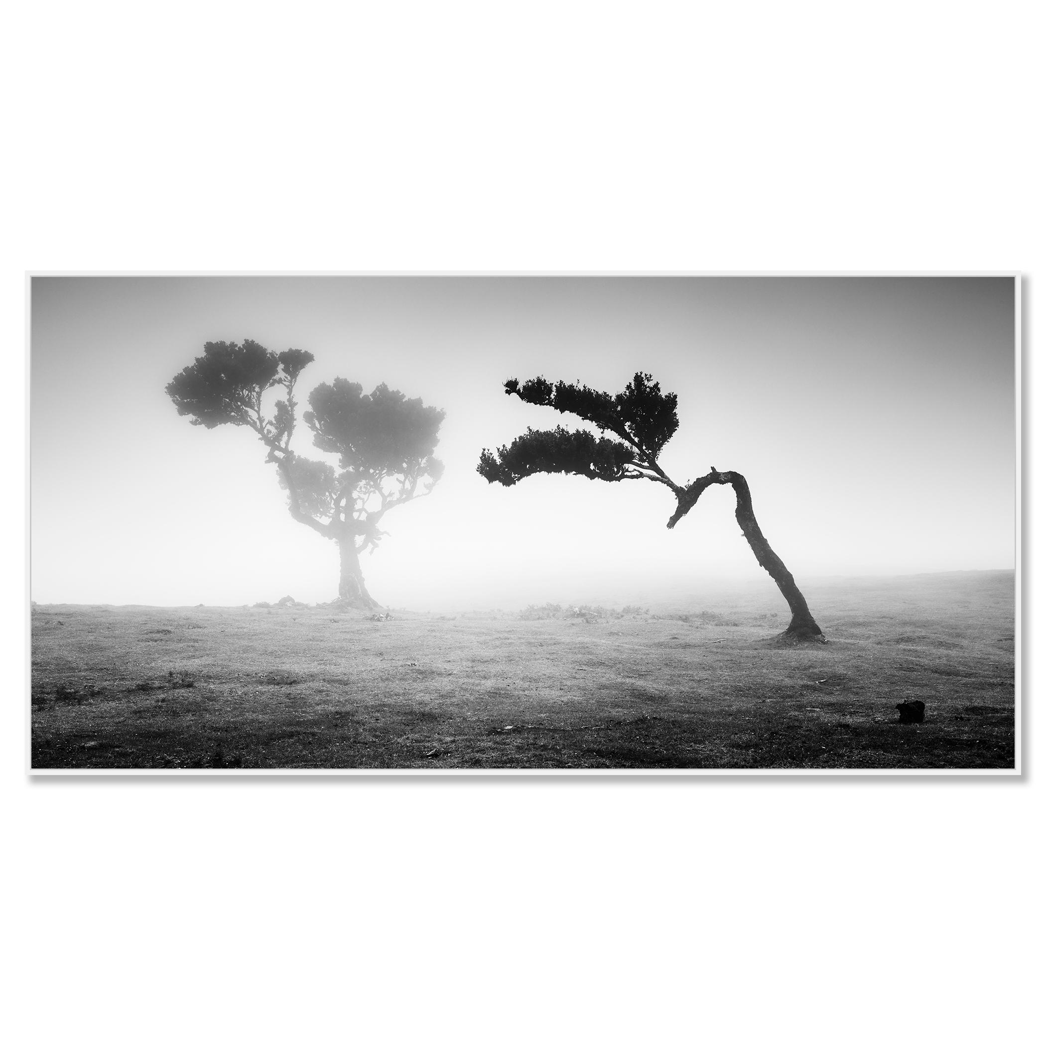madeira landscape photography