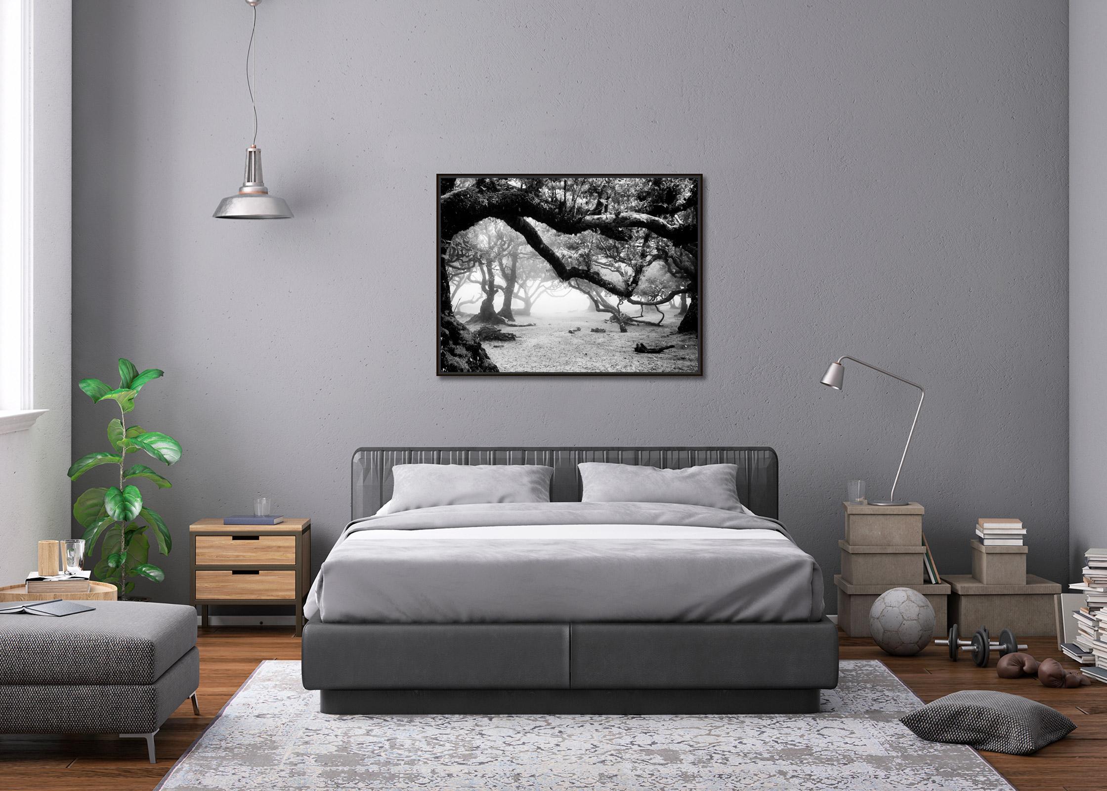 Ancient Laurisilva Forest, magical trees, black and white landscape photography For Sale 2