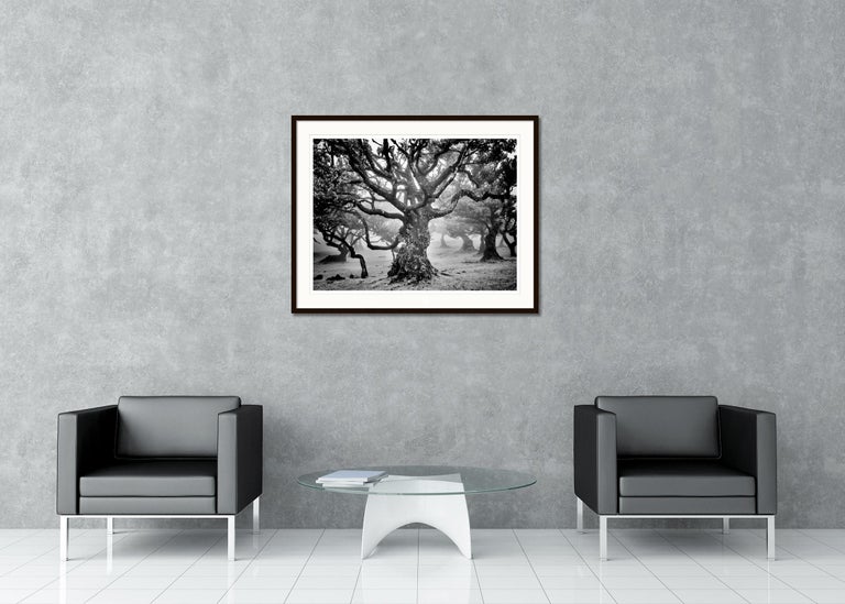 Limited edition of 7. 
Archival fine art pigment print. Signed, titled, dated and numbered by artist. Certificate of authenticity included. Printed with 4cm white border.
19.75 x 25.98 in. / 50 x 66 cm - signed edition of 7
31.5 x 41.72 in. / 80 x