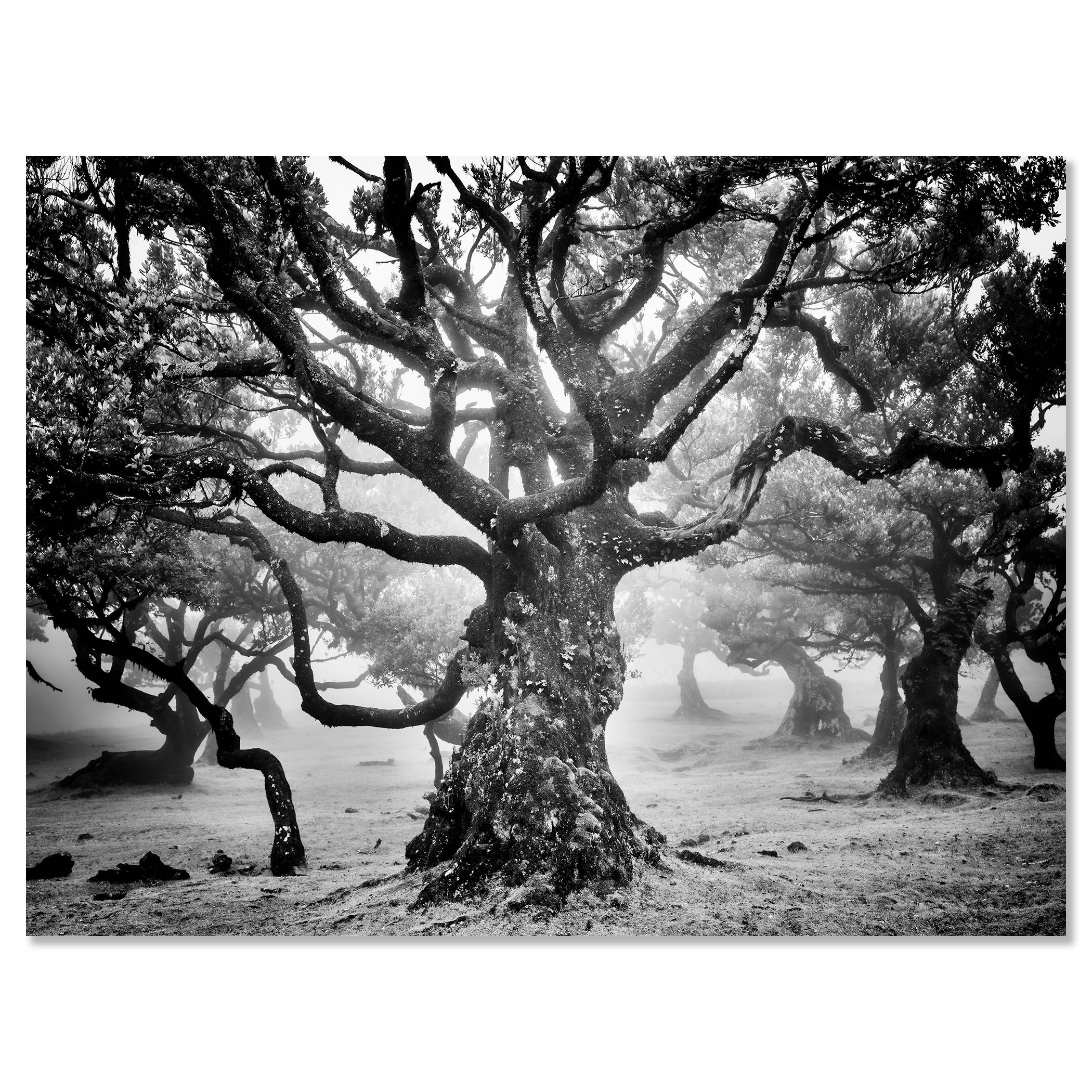 Black and white fine art landscape photography. Archival pigment ink print as part of a limited edition of 7. All Gerald Berghammer prints are made to order in limited editions on Hahnemuehle Photo Rag Baryta. Each print is stamped on the back and