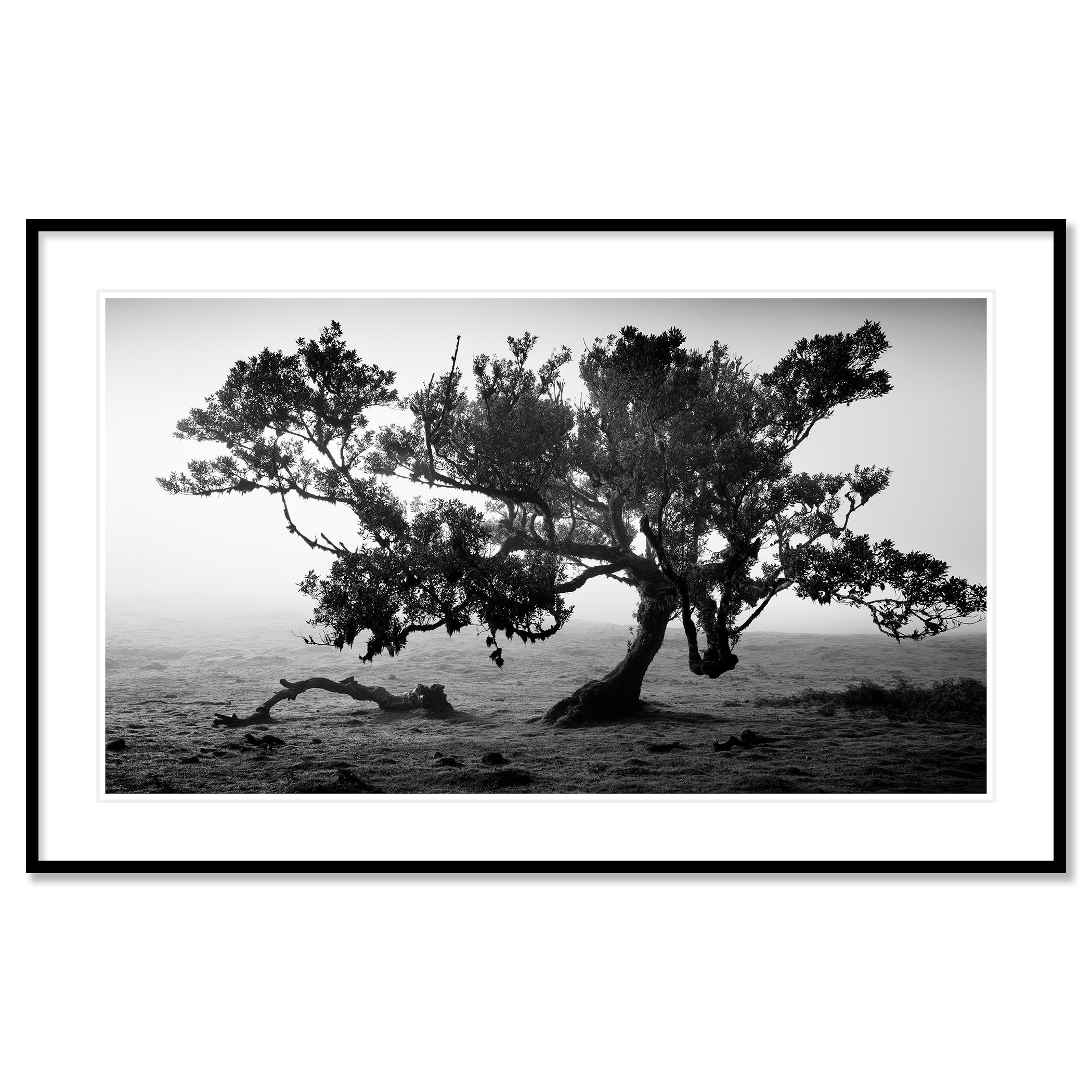 Schwarz-Weiß-Fotografie von Landschaften. Pigmenttintendruck in einer limitierten Auflage von 7 Exemplaren. Alle Drucke von Gerald Berghammer werden auf Bestellung in limitierter Auflage auf Hahnemuehle Photo Rag Baryta hergestellt. Jeder Druck ist