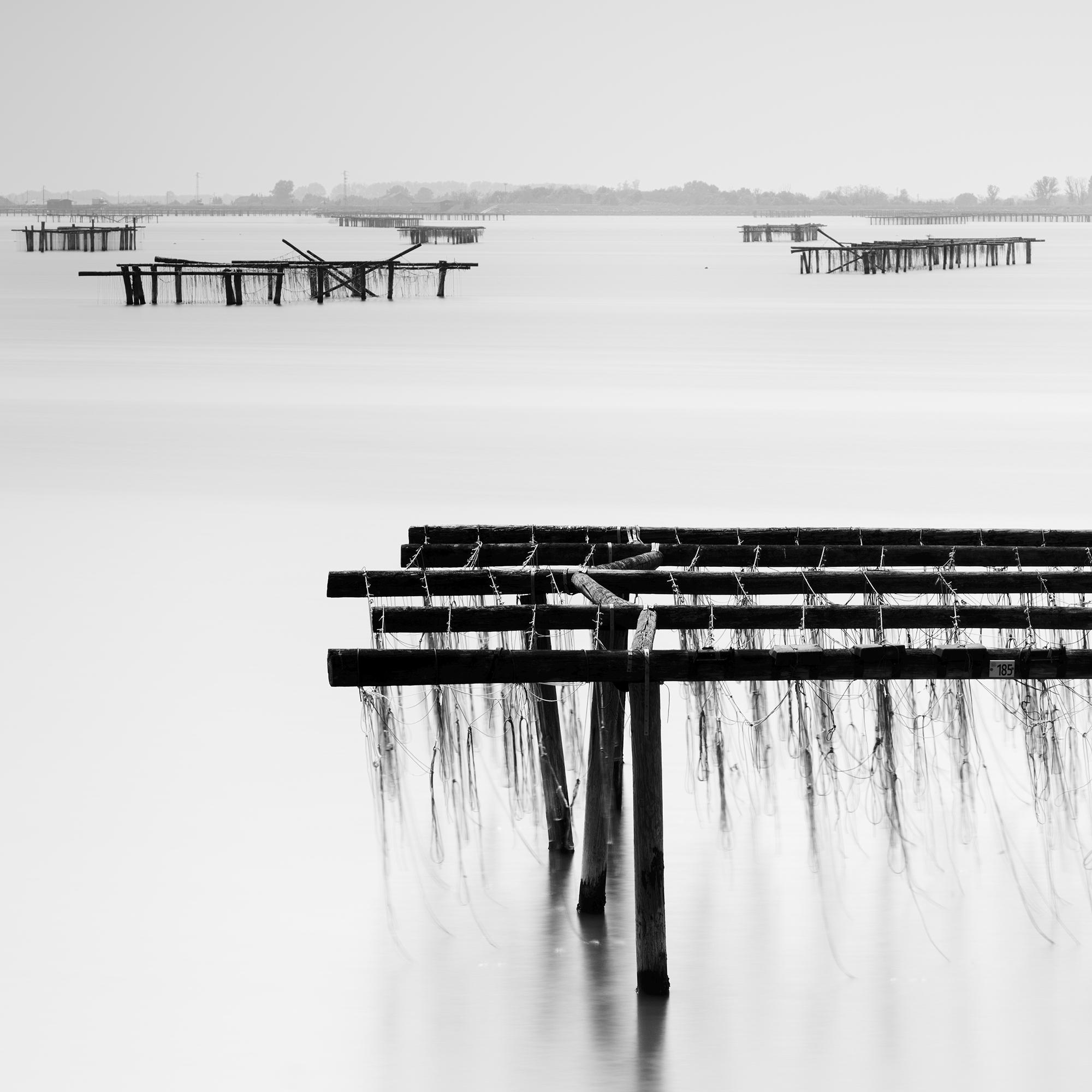 Aquaculture Structures, del delta del Po, black and white landscape photography For Sale 5