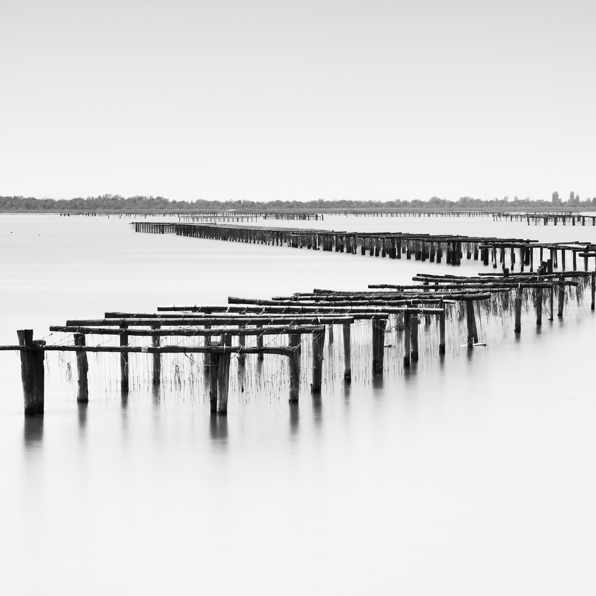 Aquaculture Structures, delta del po, black and white, landscape, photography For Sale 3