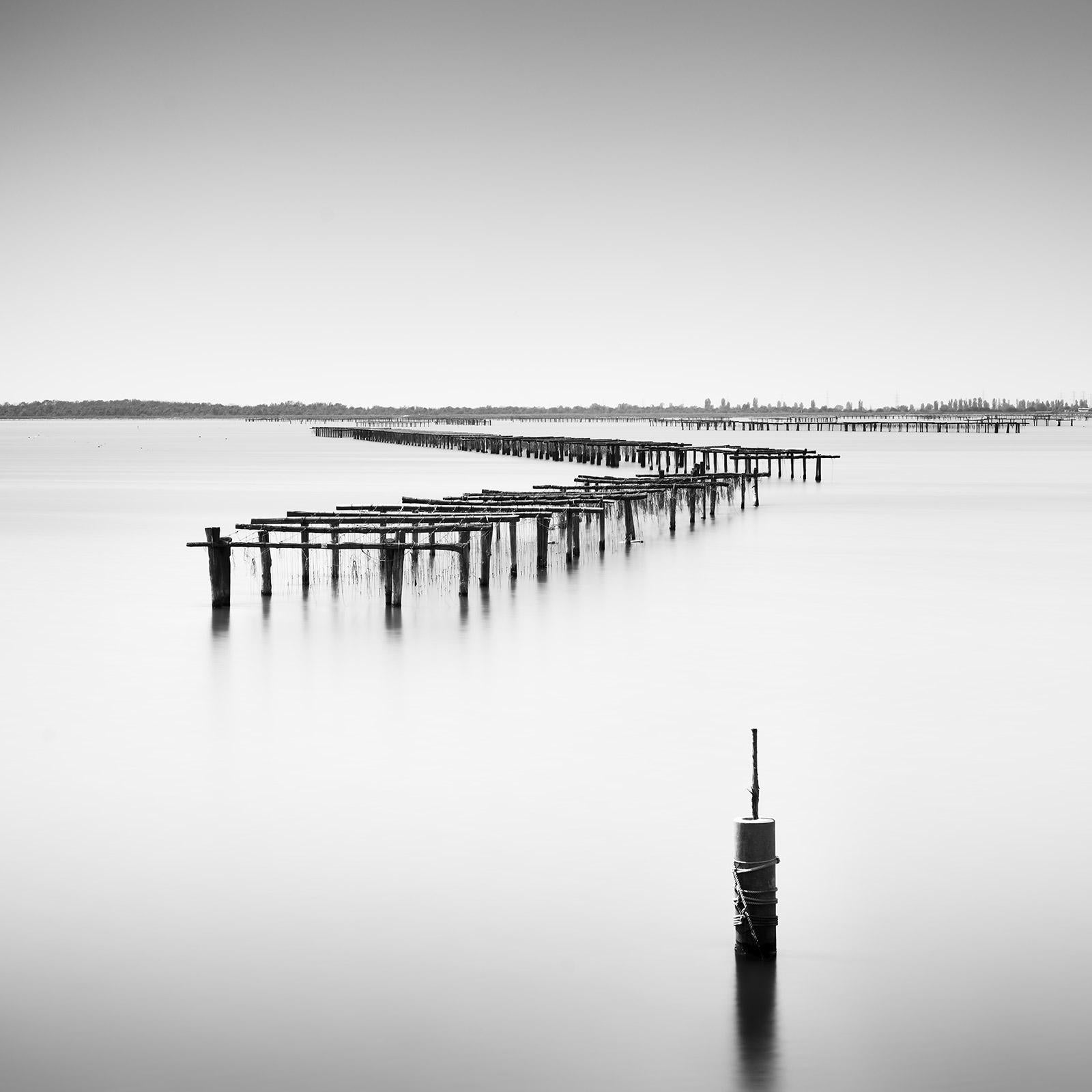 Gerald Berghammer Black and White Photograph - Aquaculture Structures, delta del po, black and white, landscape, photography