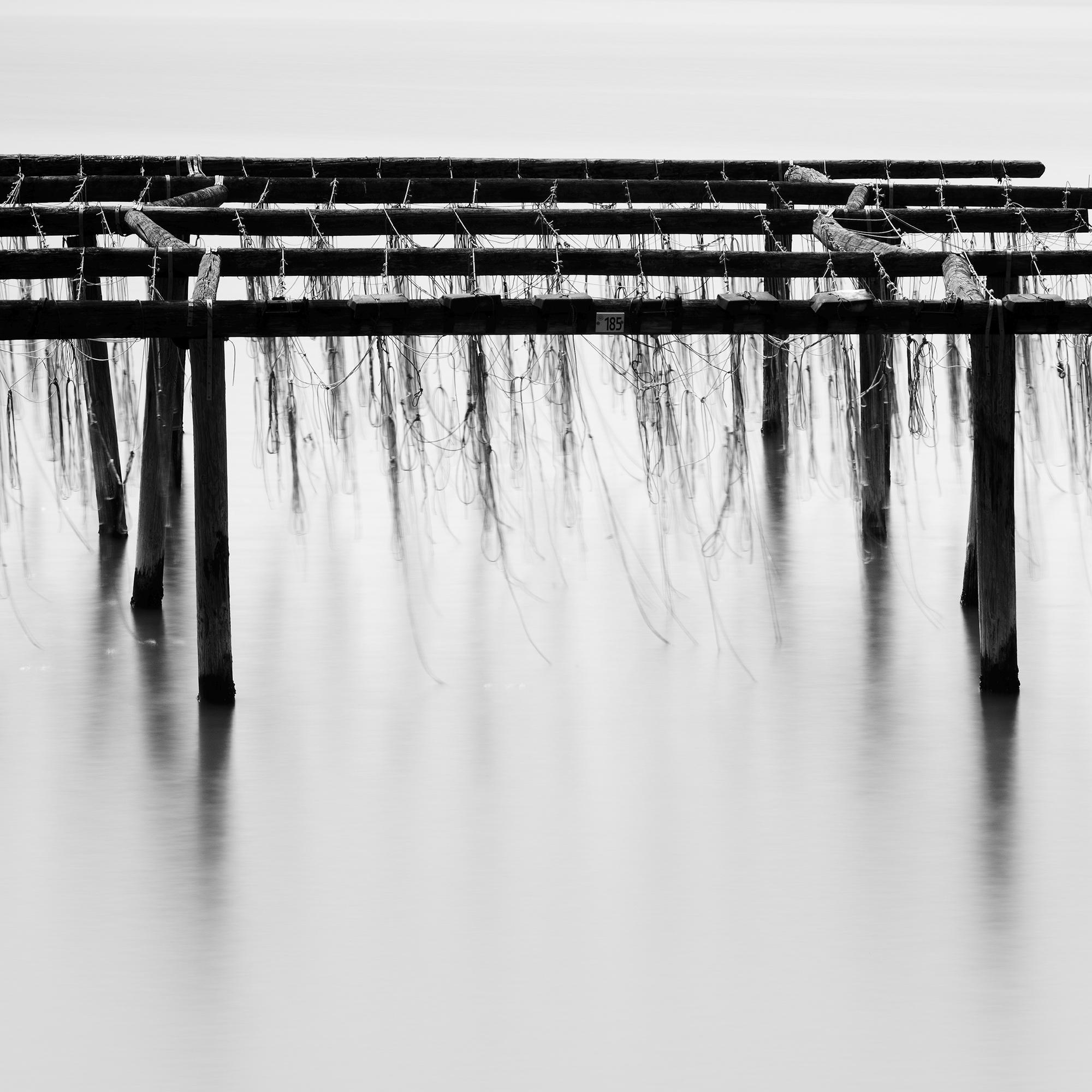 Aquaculture Structures, mono seascape, minimalist photograph, limited edition For Sale 7