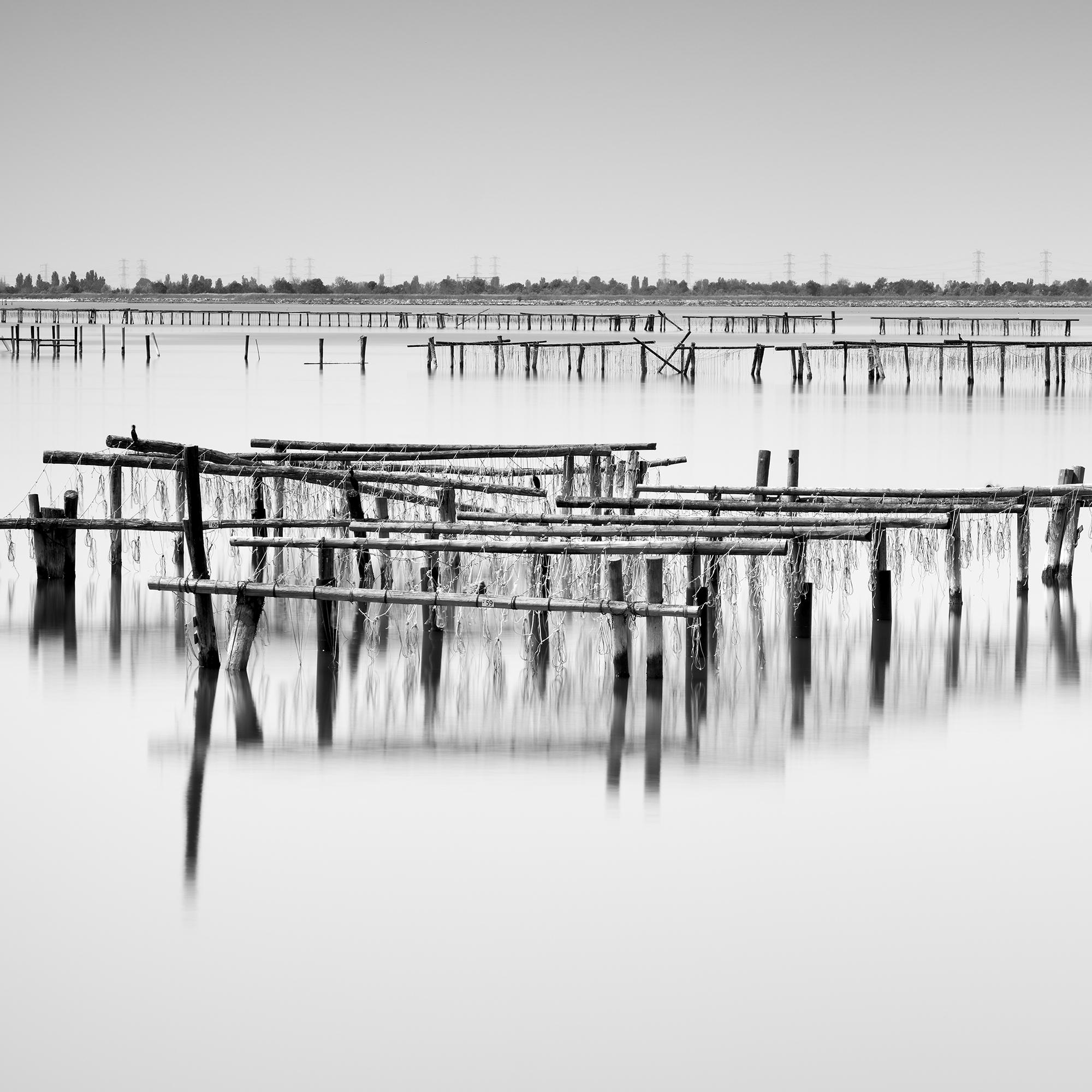 Strutture di acquacoltura Panorama, Delta del Po, Italia, paesaggio in bianco e nero in vendita 3