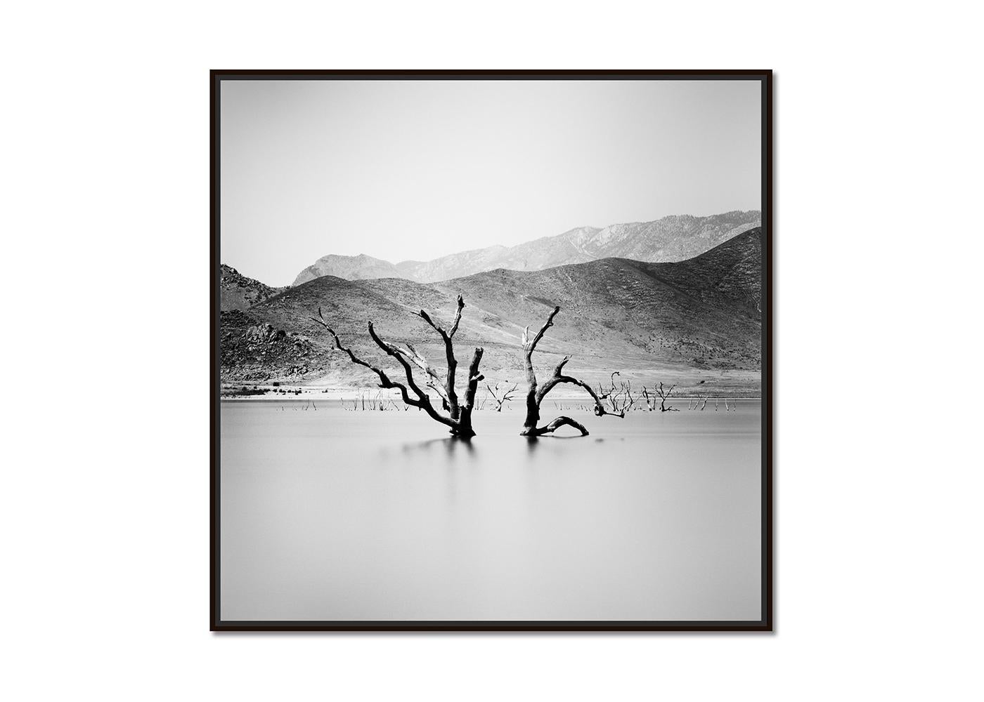 Lake artificiel, Arizona, USA, photographie de Gerald Berghammer, édition limitée en vente 1