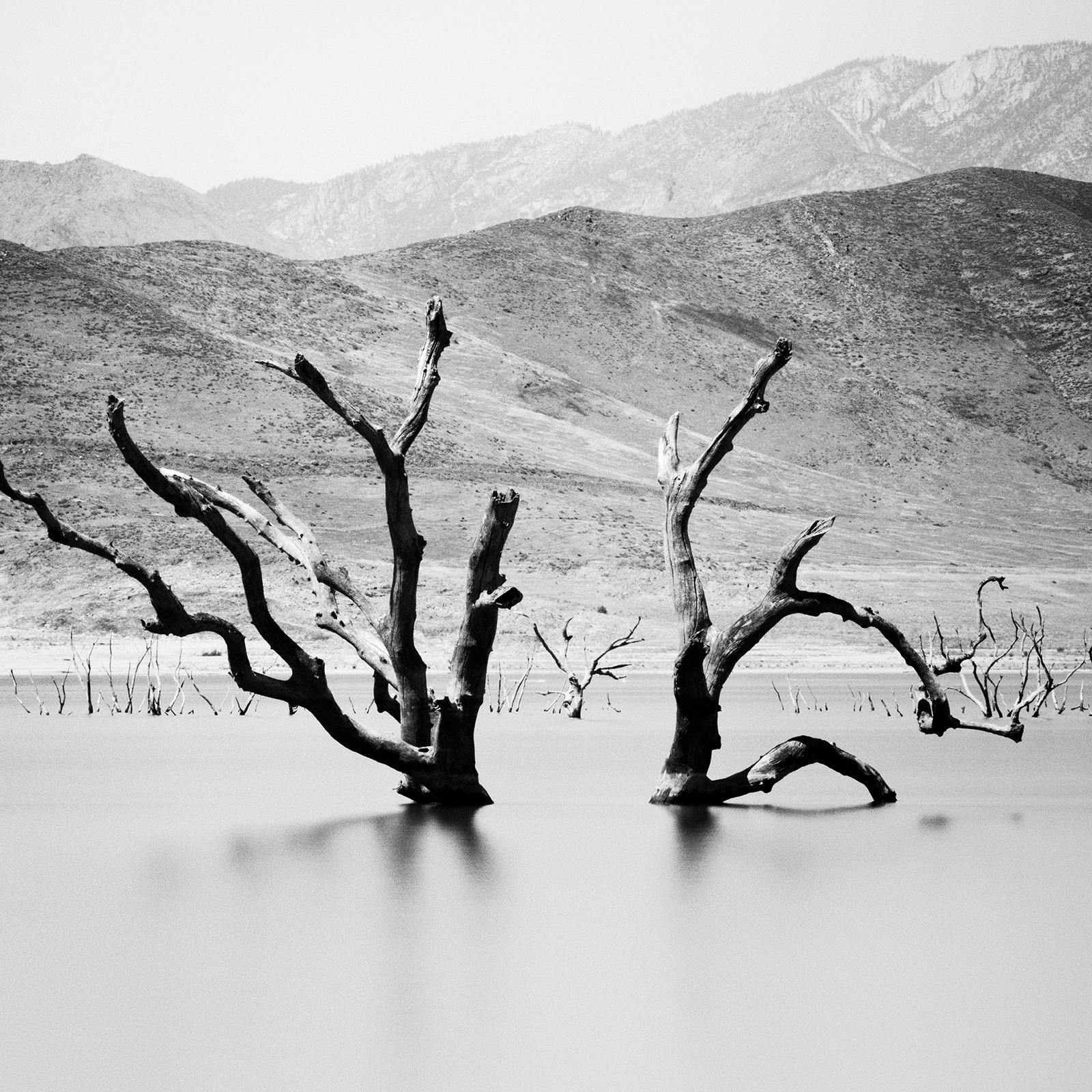 Lake artificiel, Arizona, USA, photographie de Gerald Berghammer, édition limitée en vente 8
