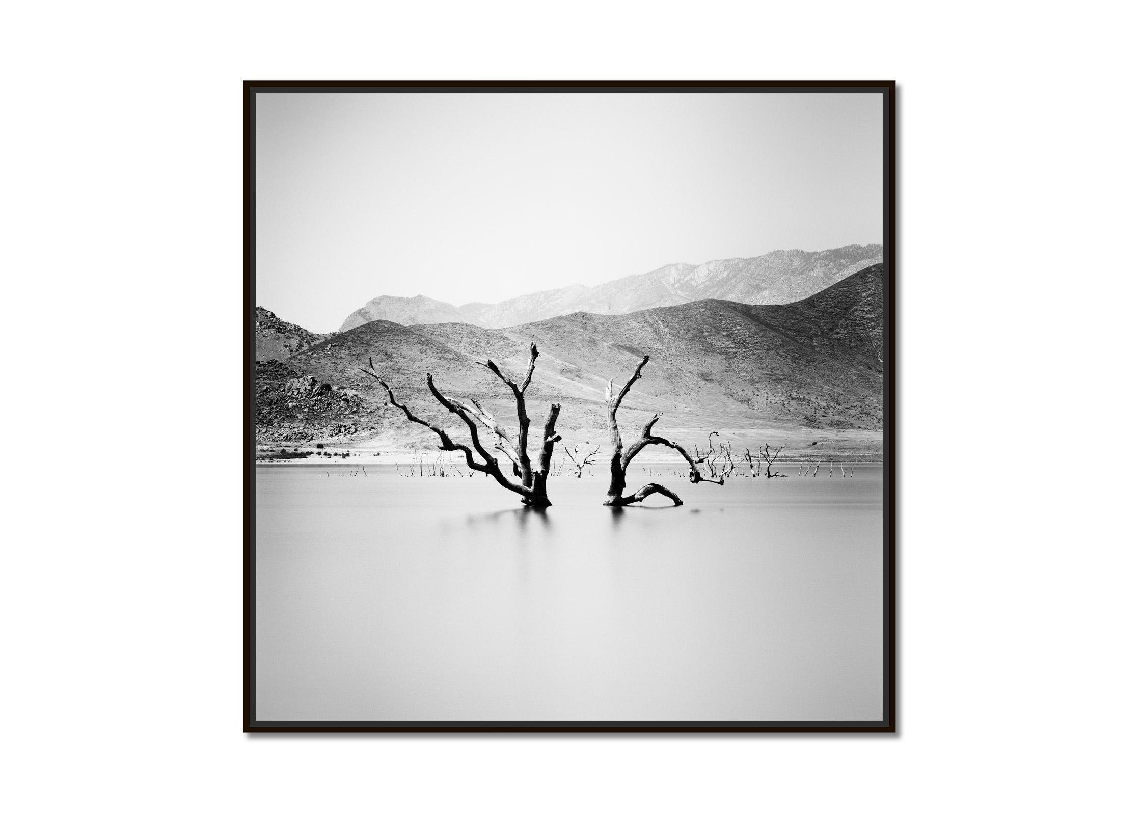Artificial Lake, dead Tree, mountain, Arizona, USA, b&w landscape photography - Photograph by Gerald Berghammer