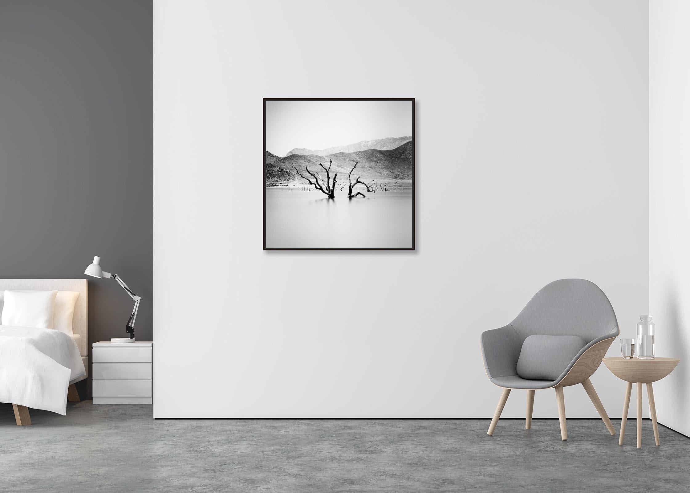 Artificial Lake, dead Tree, mountain, Arizona, USA, b&w landscape photography - Contemporary Photograph by Gerald Berghammer