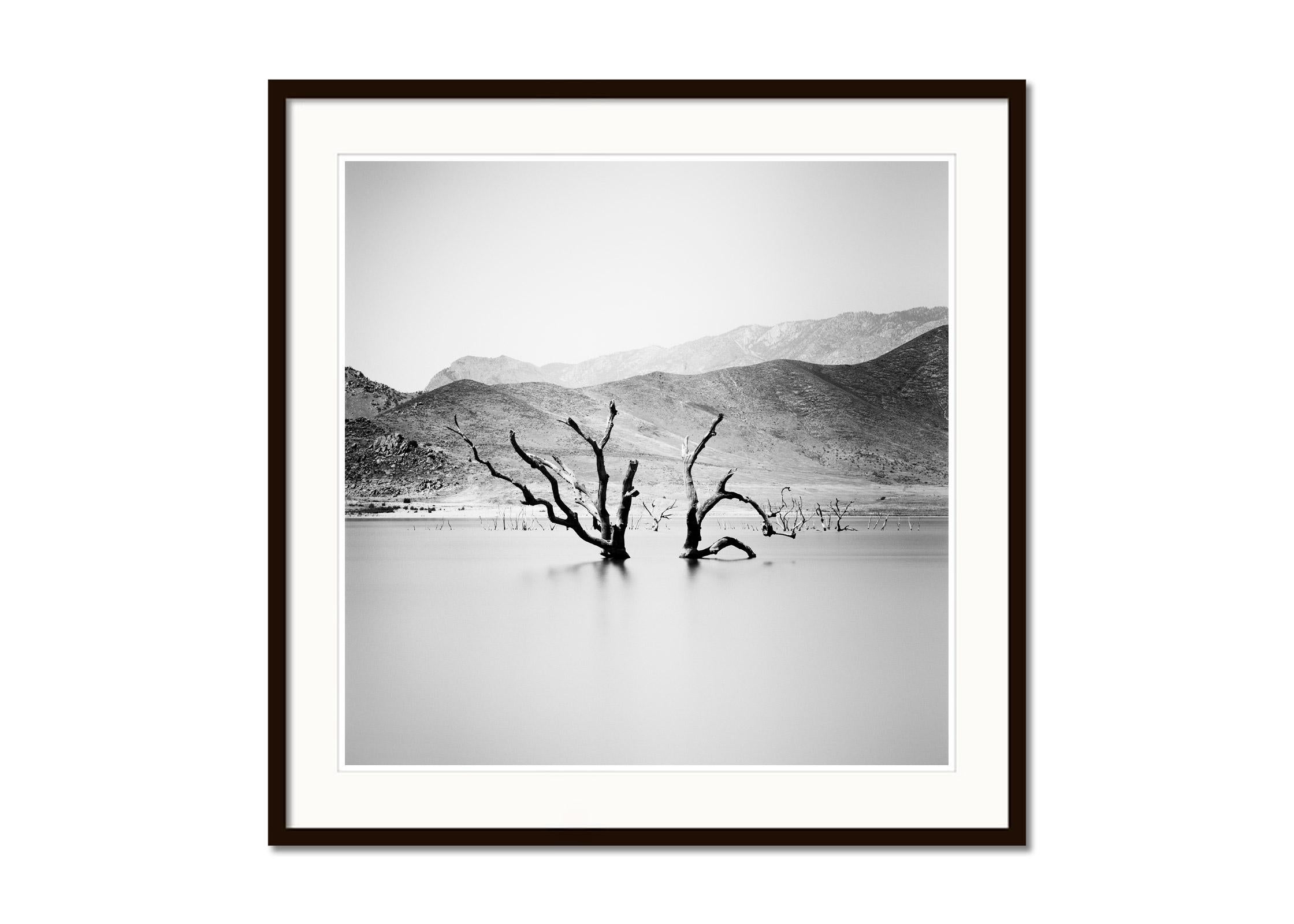 Artificial Lake, dead Tree, mountain, Arizona, USA, b&w landscape photography - Gray Landscape Photograph by Gerald Berghammer