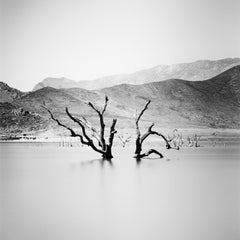 Künstlicher See, toter Baum, Berg, Arizona, USA, s/w Landschaftsfotografie