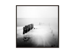 "Asparagus Time" black and white photograph Gerald Berghammer, limited edition