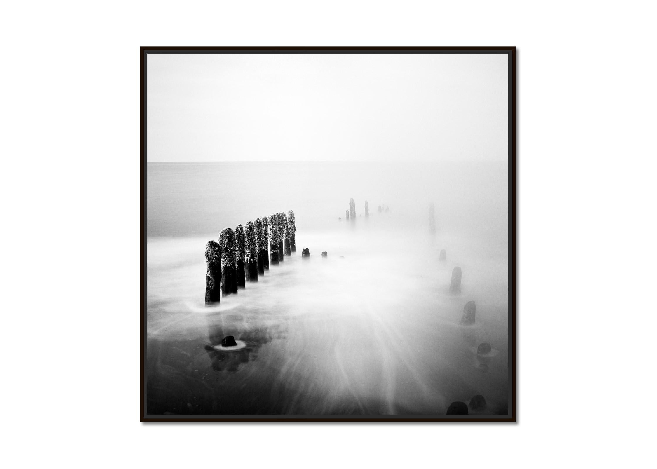 Asparagus Time, Ruegen, Germany, minimalist, black and white landscape art print - Photograph by Gerald Berghammer