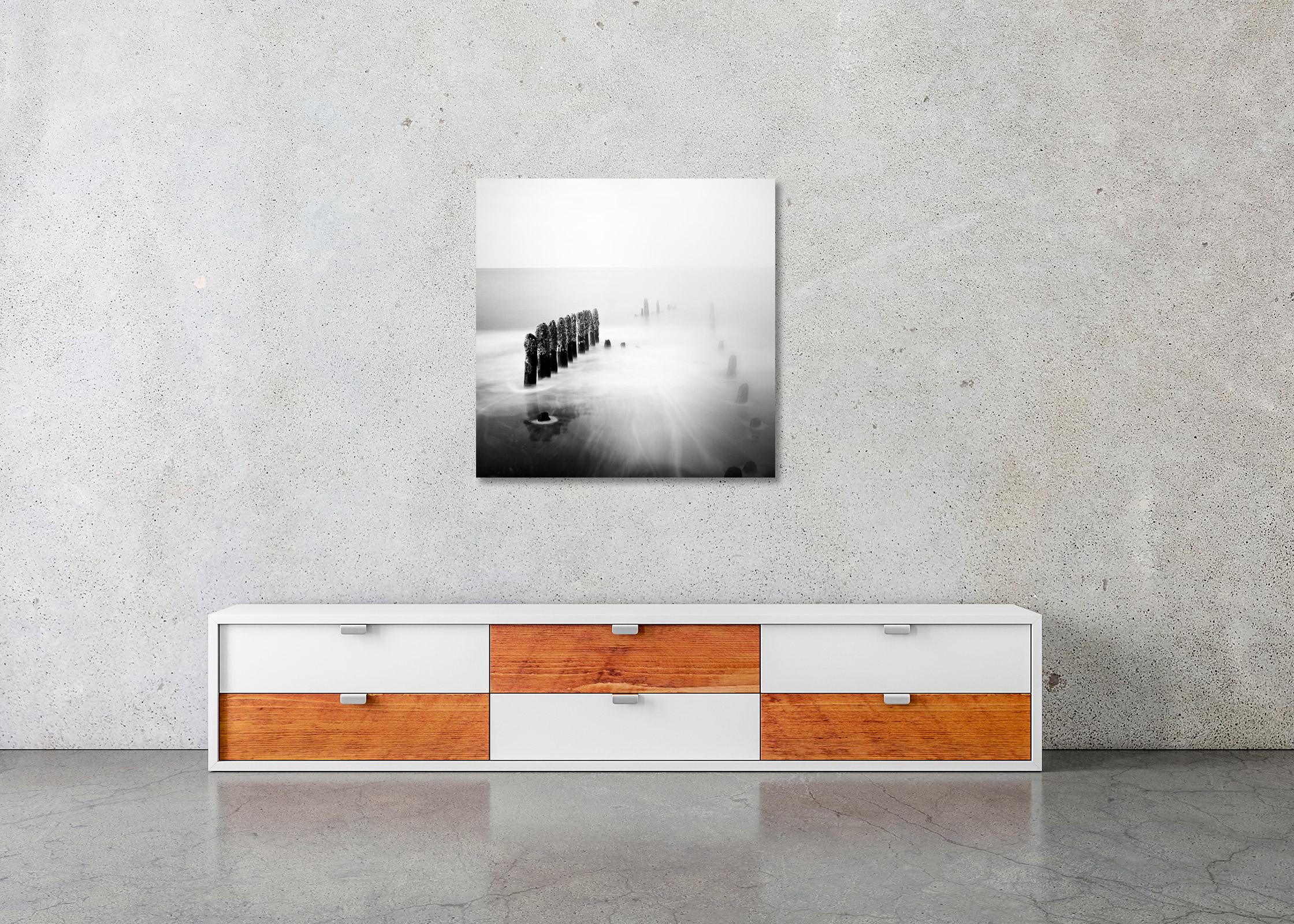 Le temps des asperges, Ruegen, Allemagne, minimaliste, impression d'art de paysage en noir et blanc en vente 1