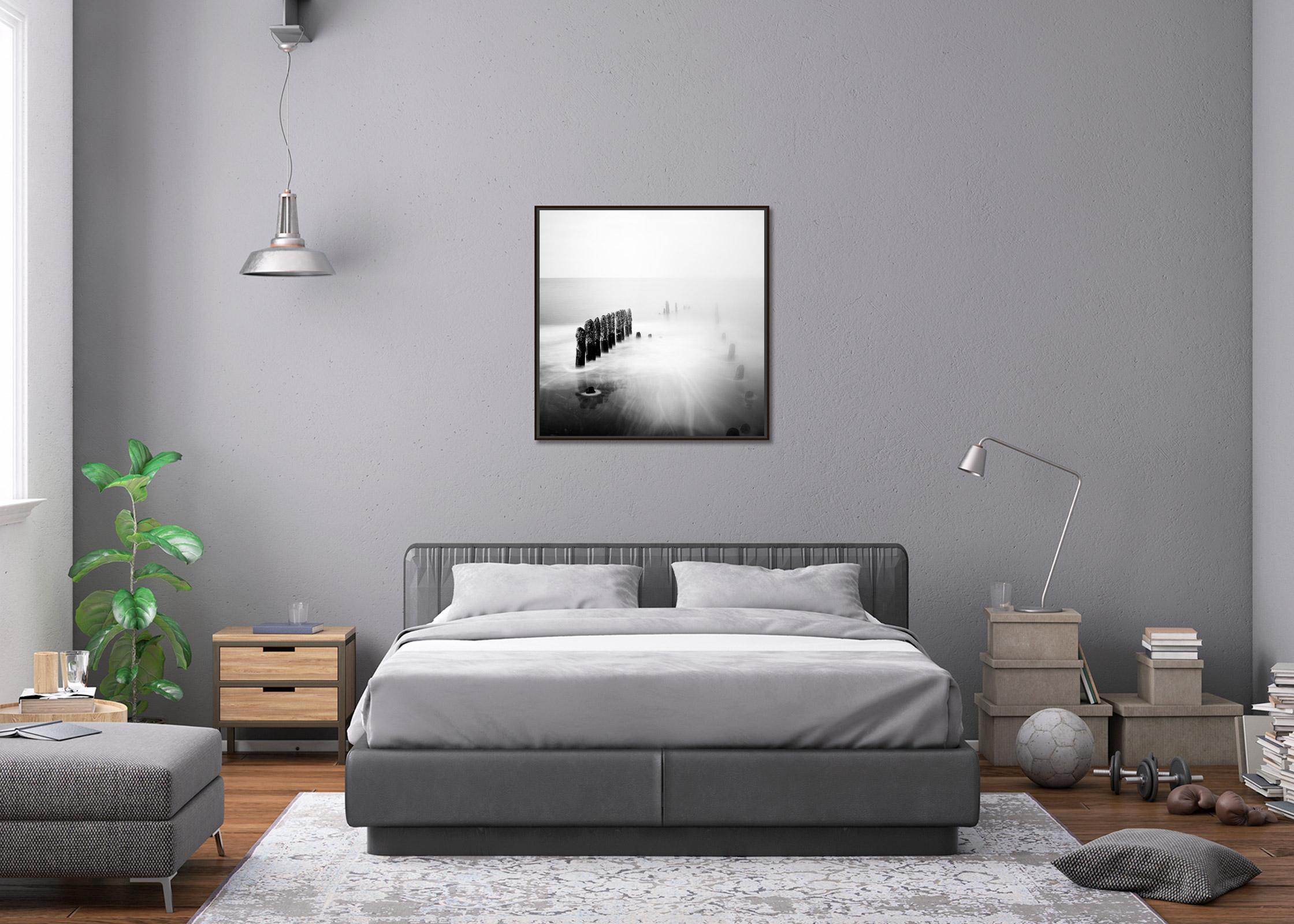 Asparagus Time, Ruegen, Germany, minimalist, black and white landscape art print For Sale 2