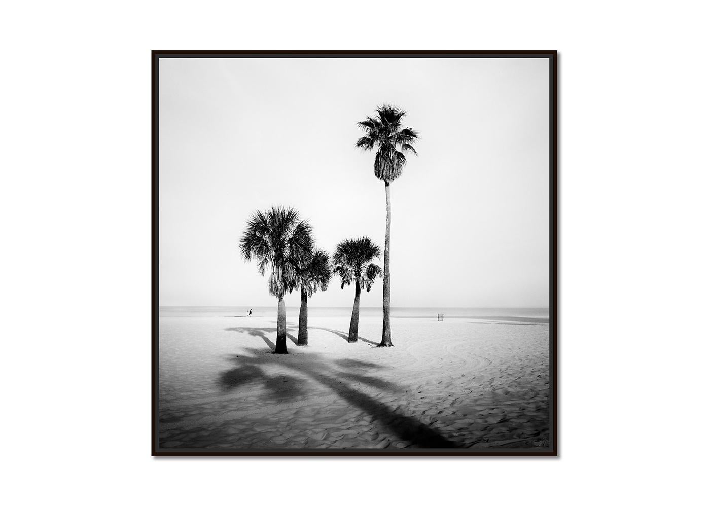 Palme, Sand Beach, Florida, fotografia, edizione limitata - Gerald Berghammer in vendita 1