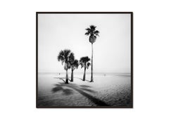 Palm Trees, Sand Beach, Florida, Fotografie, limitierte Auflage – Gerald Berghammer