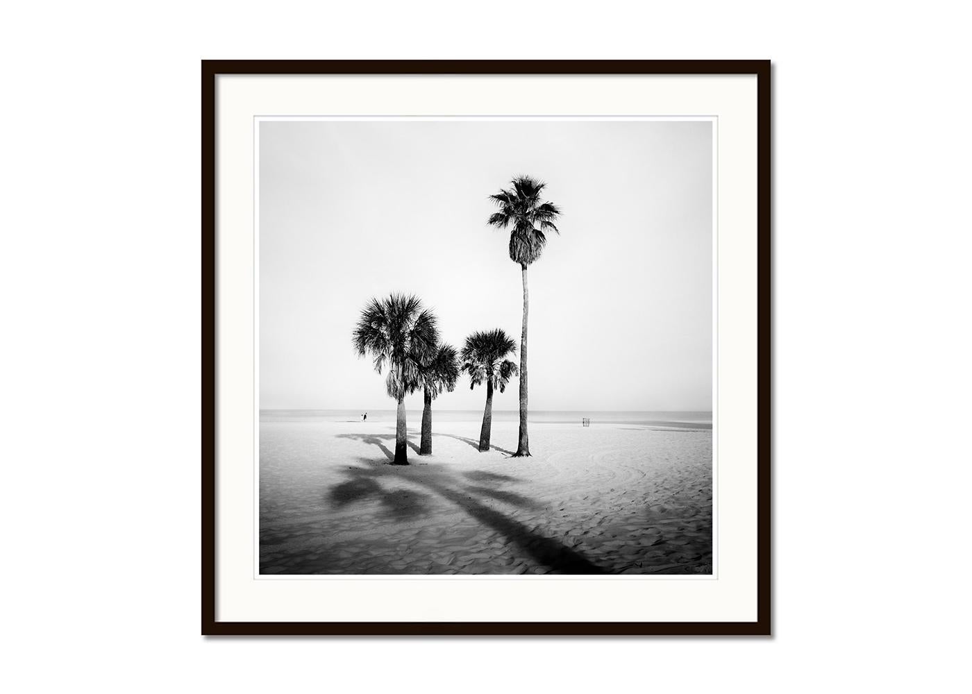 Palme, Sand Beach, Florida, fotografia, edizione limitata - Gerald Berghammer in vendita 3