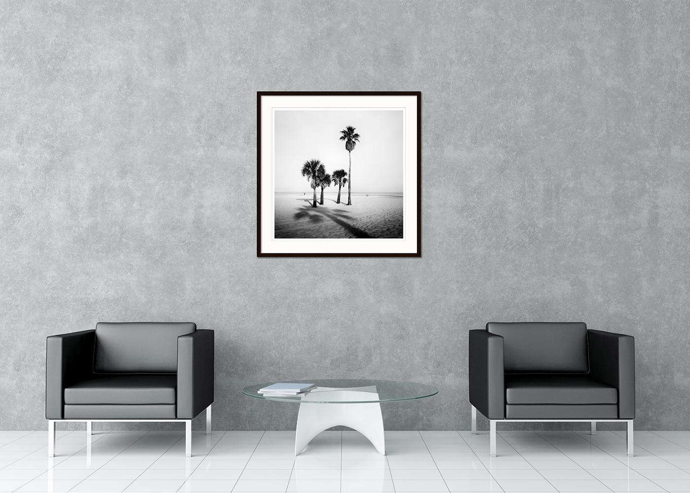 Palme, Sand Beach, Florida, fotografia, edizione limitata - Gerald Berghammer in vendita 4