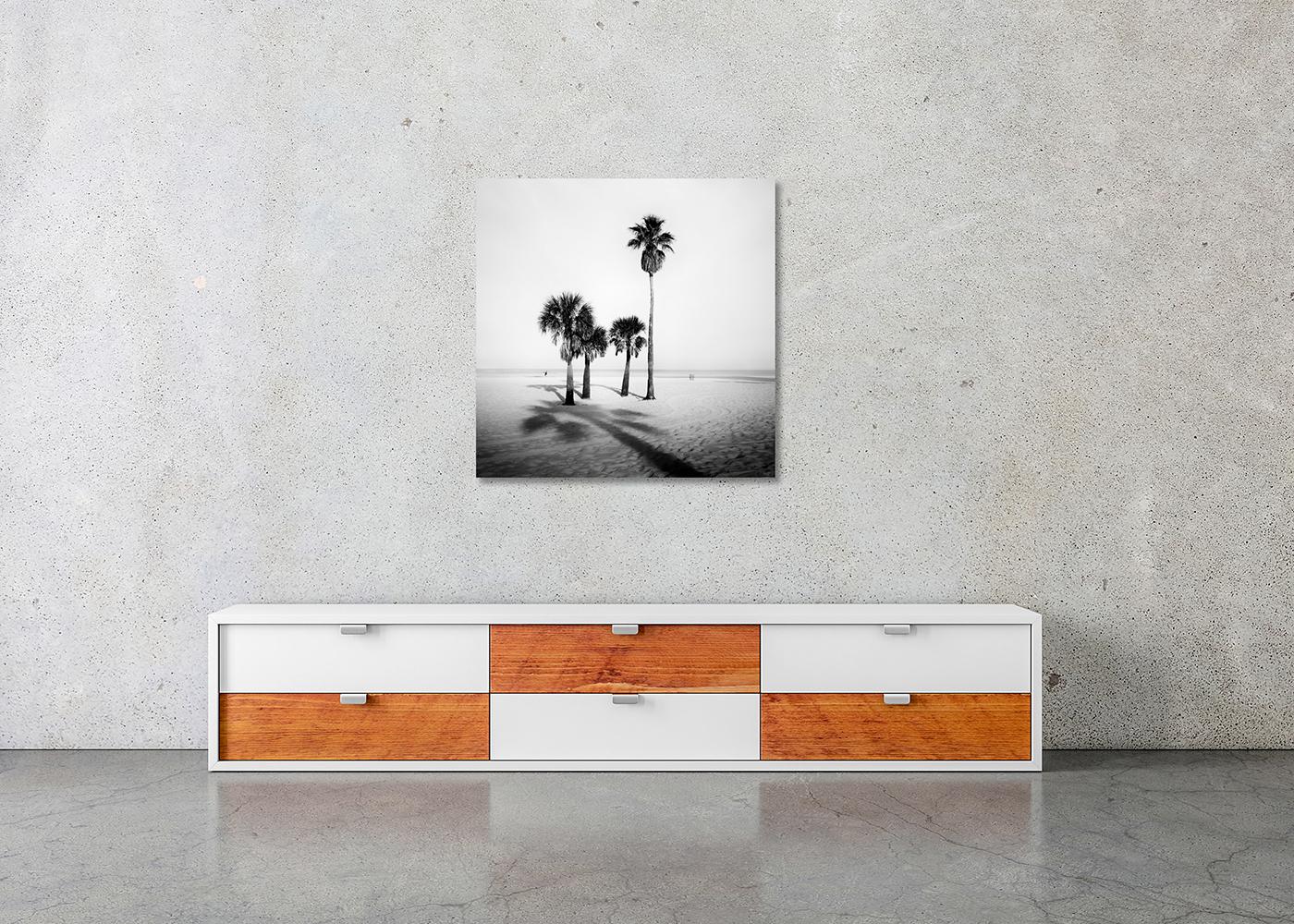 Palme, Sand Beach, Florida, fotografia, edizione limitata - Gerald Berghammer in vendita 6