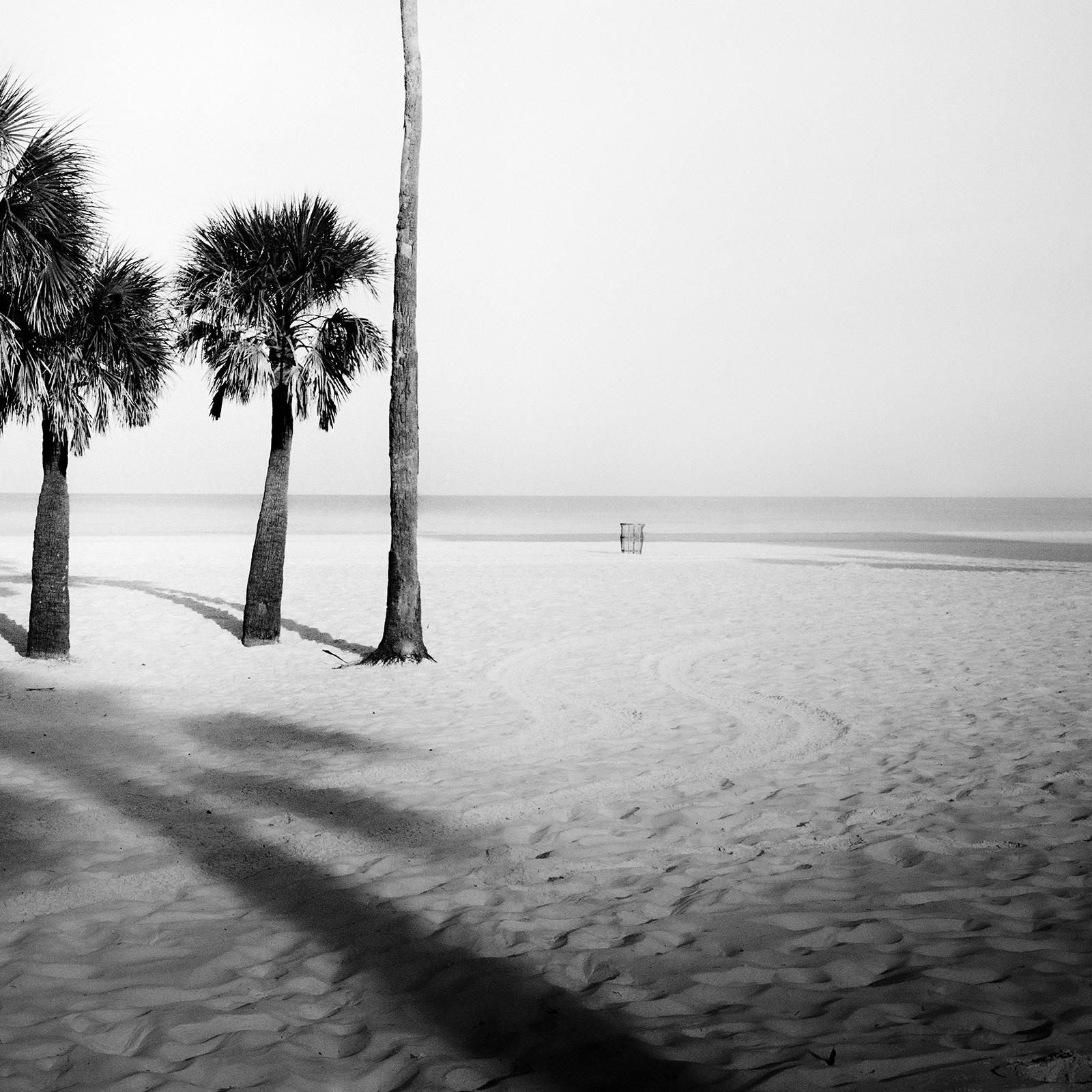 Palme, Sand Beach, Florida, fotografia, edizione limitata - Gerald Berghammer in vendita 8