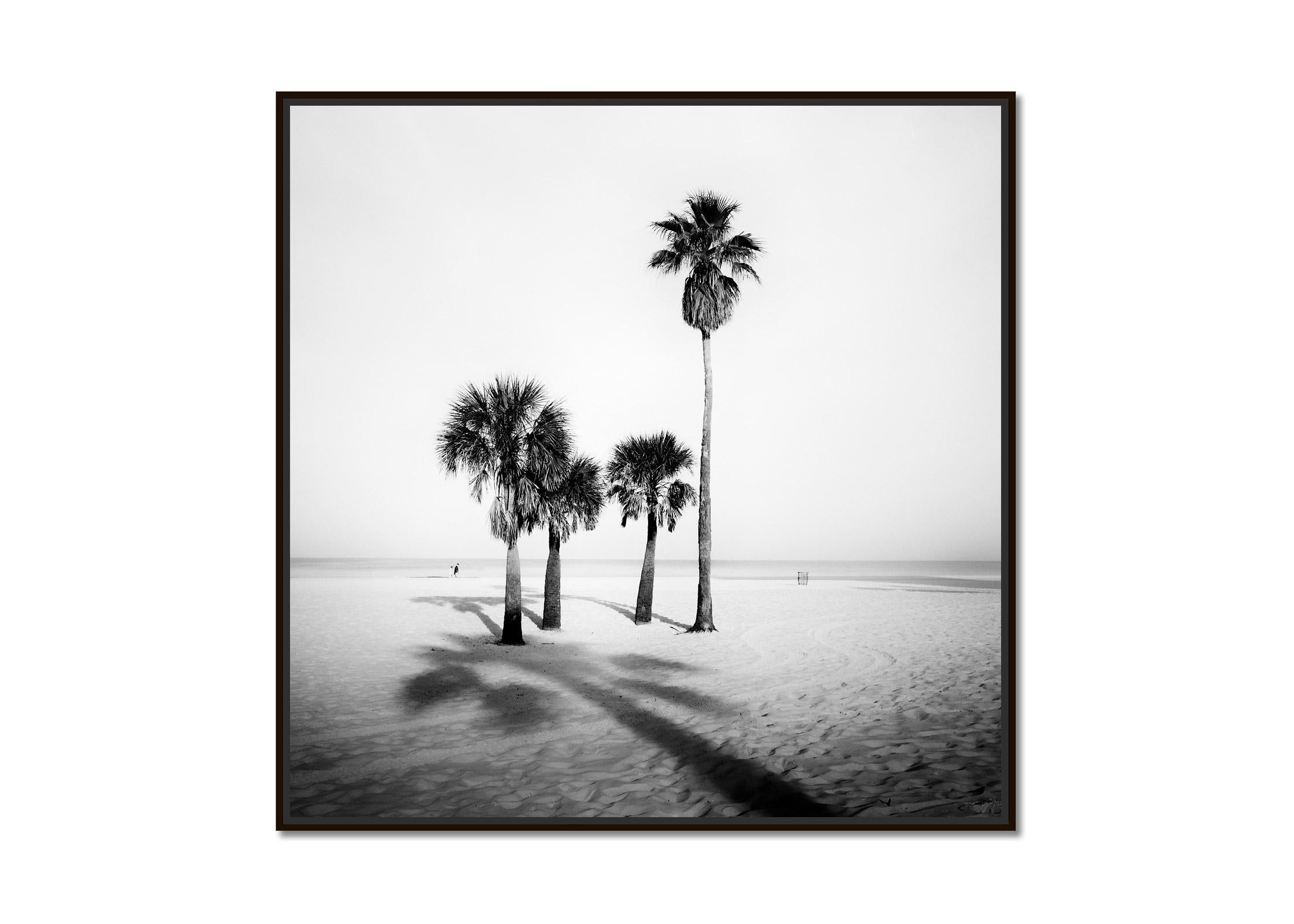 Beach, Morning, Palm Trees, Florida, USA, black and white landscape photography - Photograph by Gerald Berghammer