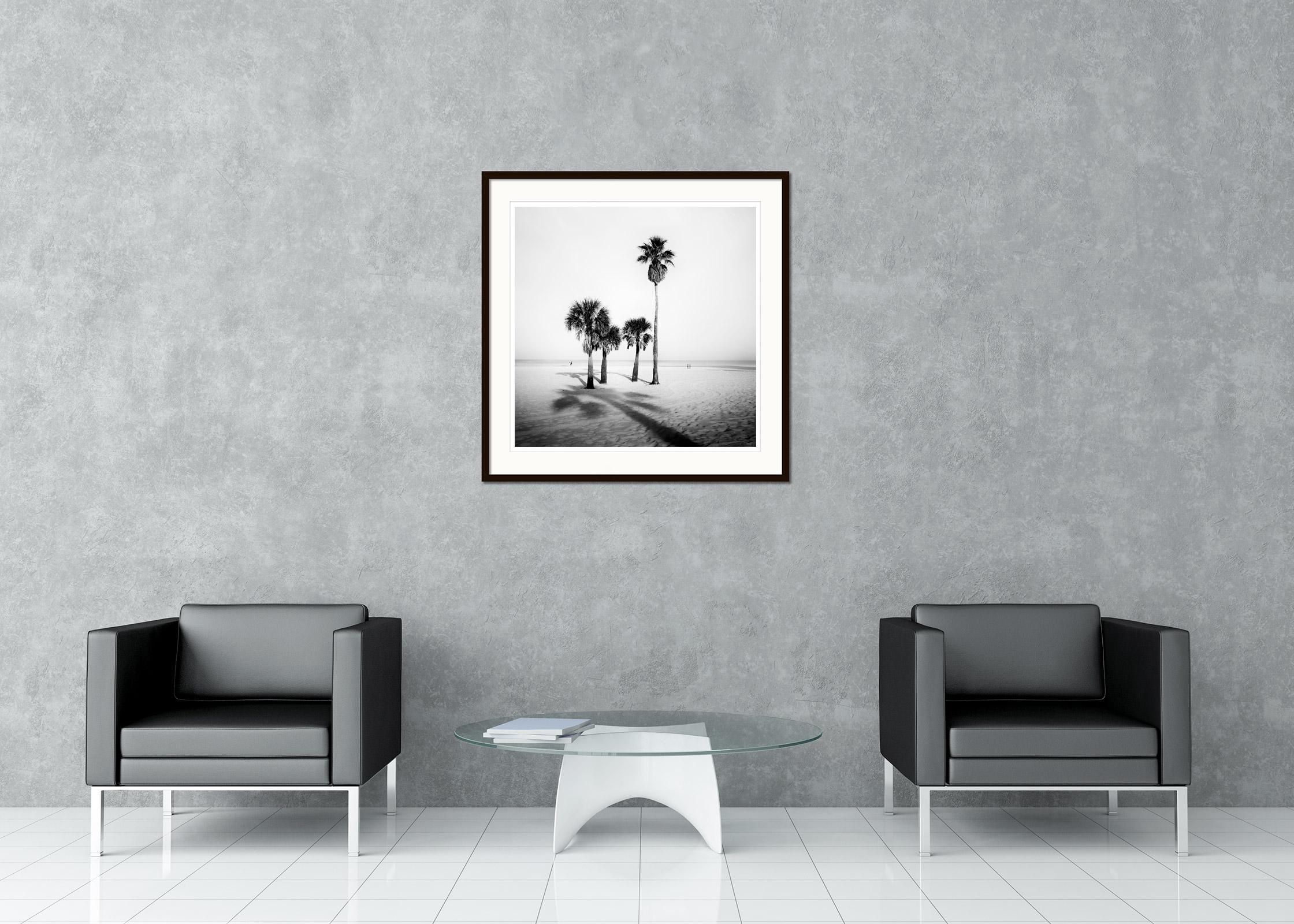 beach black and white palm trees
