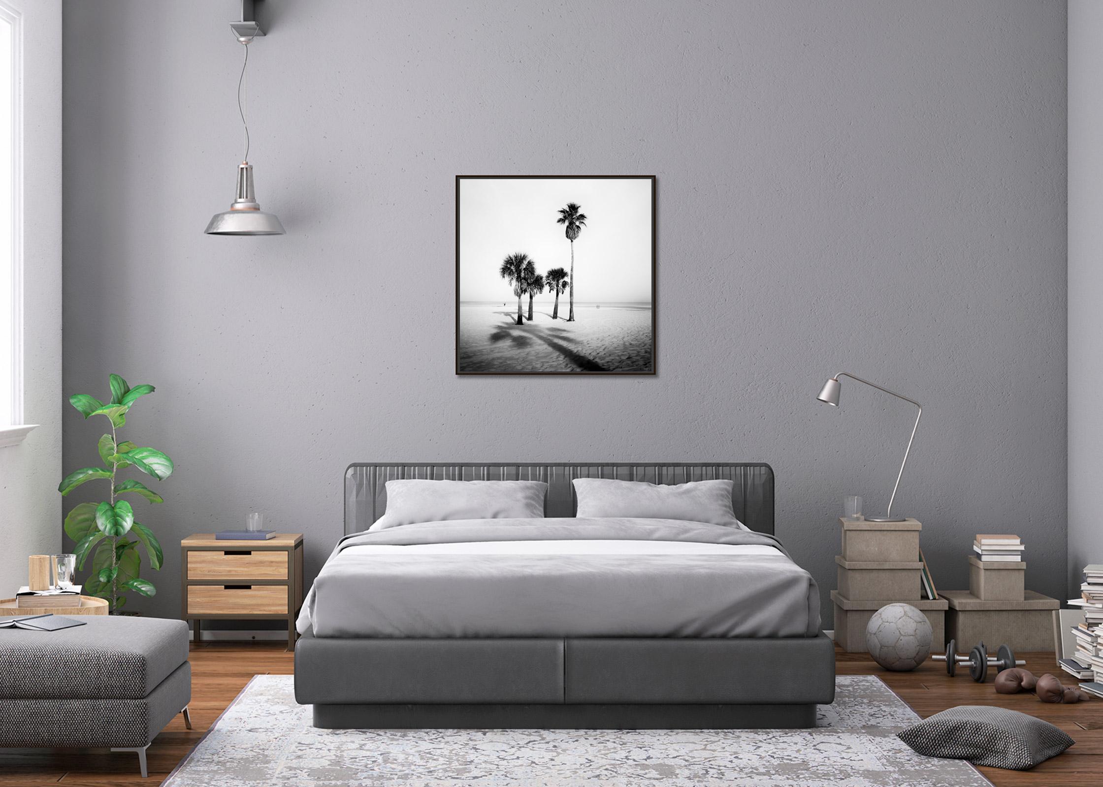 Beach, Morning, Palm Trees, Florida, USA, black and white landscape photography - Contemporary Photograph by Gerald Berghammer