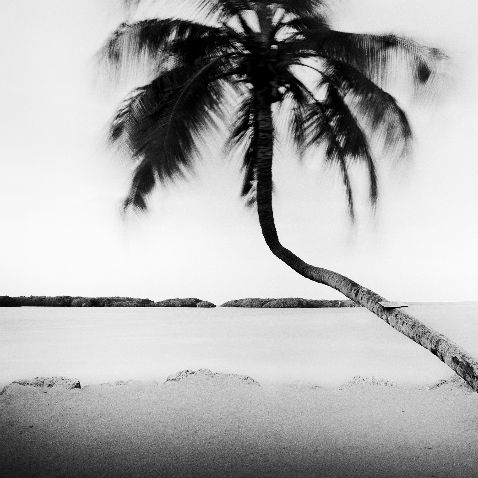 Bent Palm Beach Florida USA For Sale 5