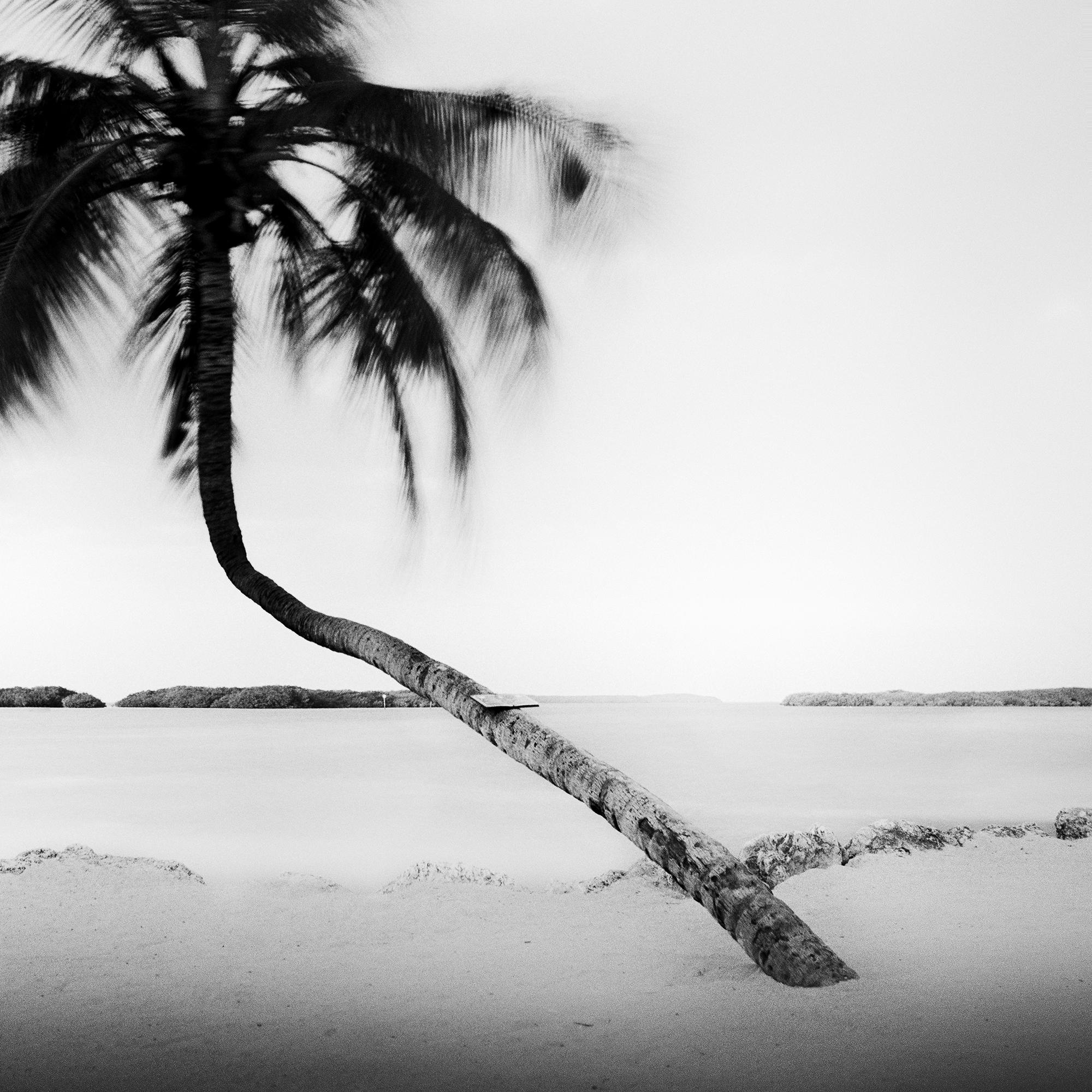 Bent Palm Beach Florida USA For Sale 6