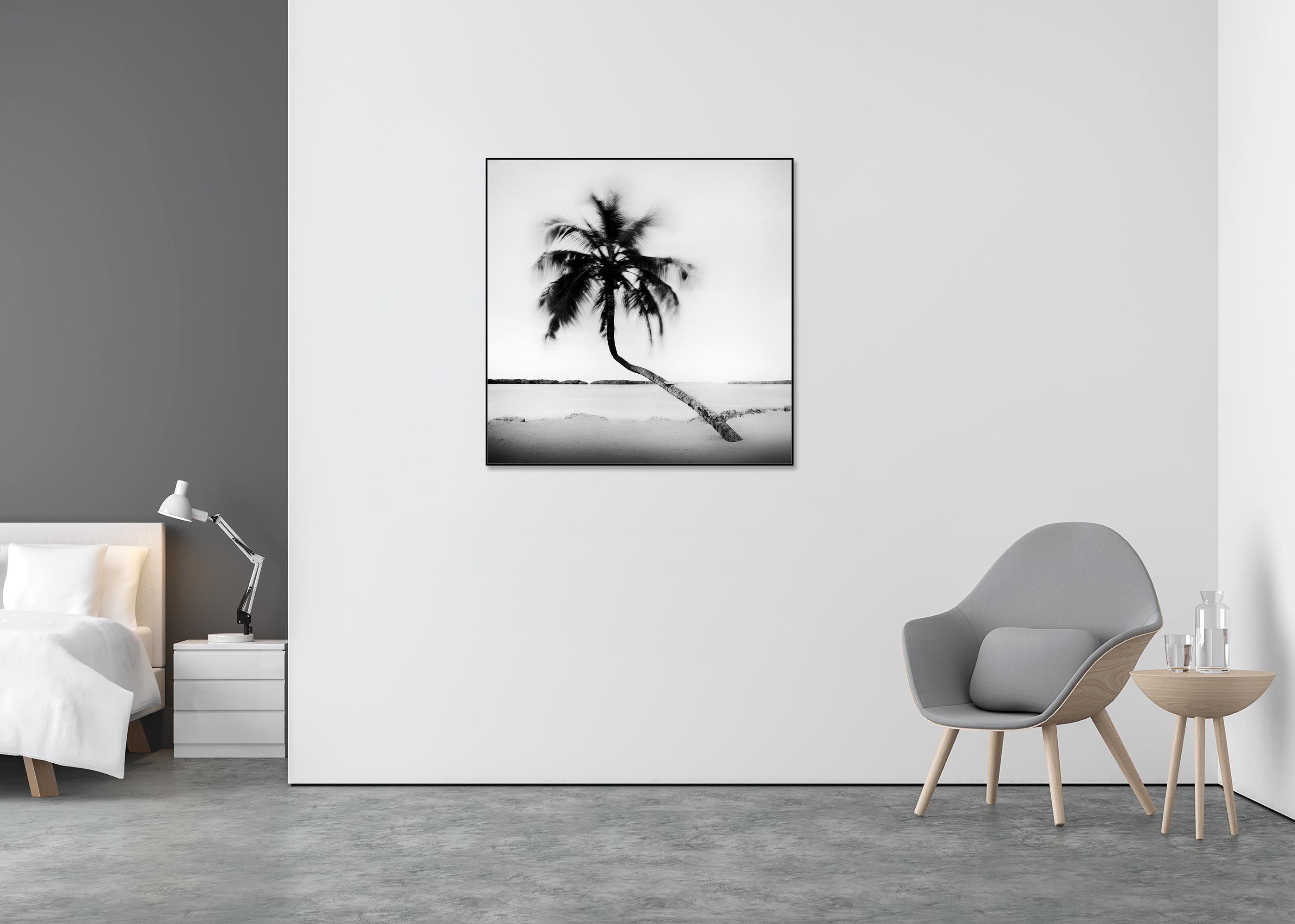 Bent Palm Beach Florida USA - Gray Landscape Photograph by Gerald Berghammer