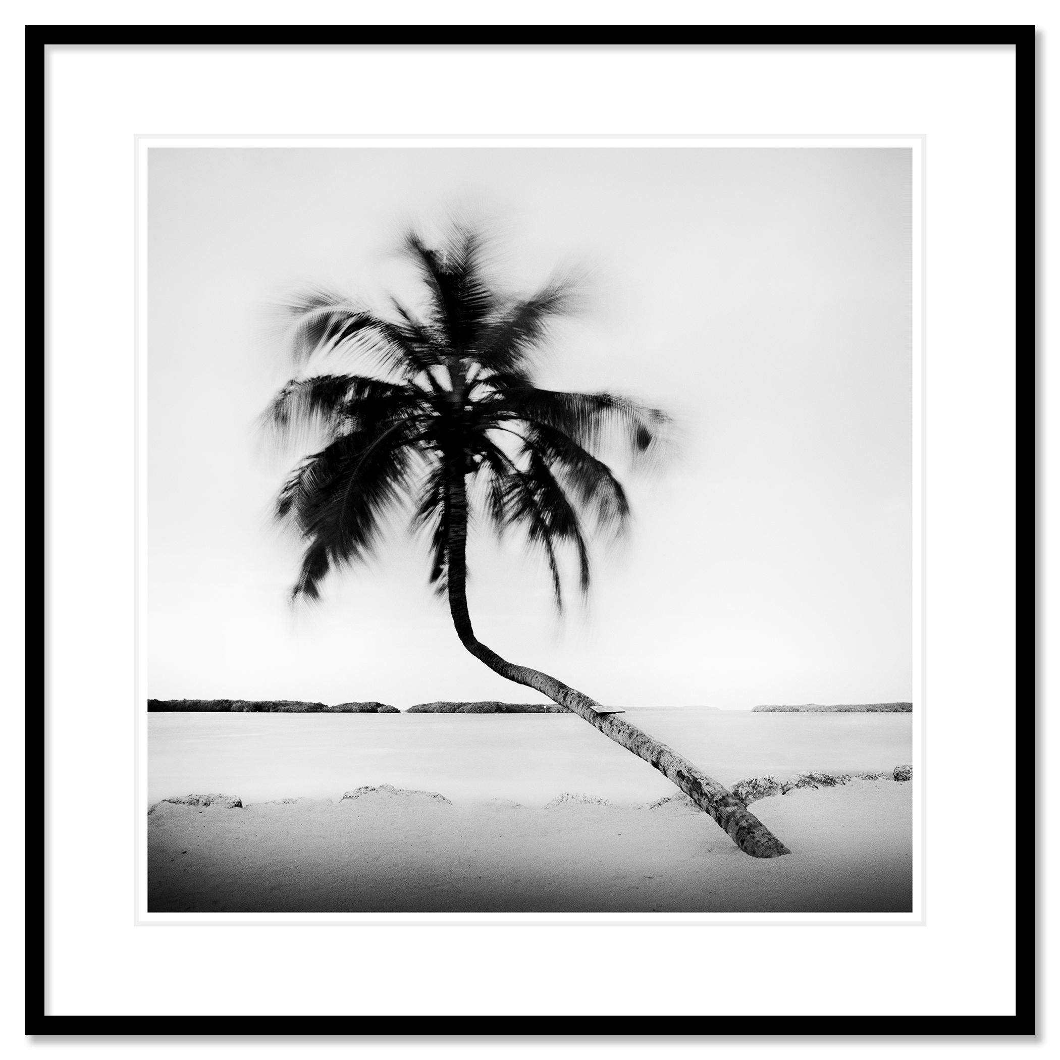 Black and white fine art landscape photography. Archival pigment ink print as part of a limited edition of 9. All Gerald Berghammer prints are made to order in limited editions on Hahnemuehle Photo Rag Baryta. Each print is stamped on the back and