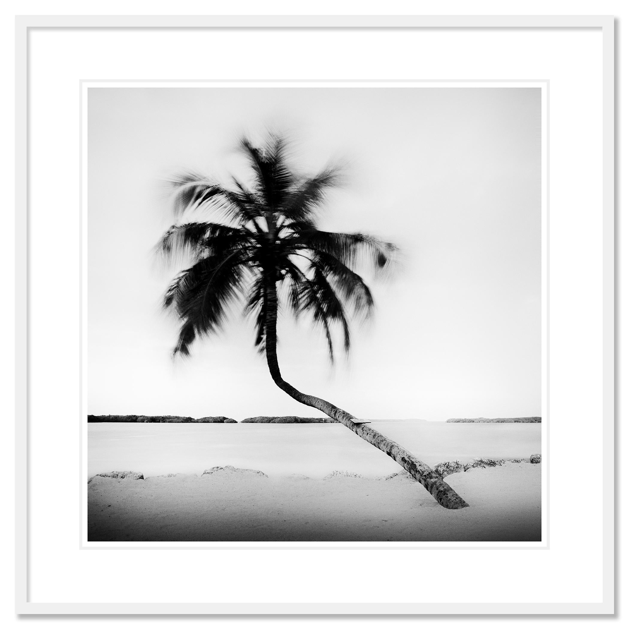 Bent Palm Beach Florida USA For Sale 1