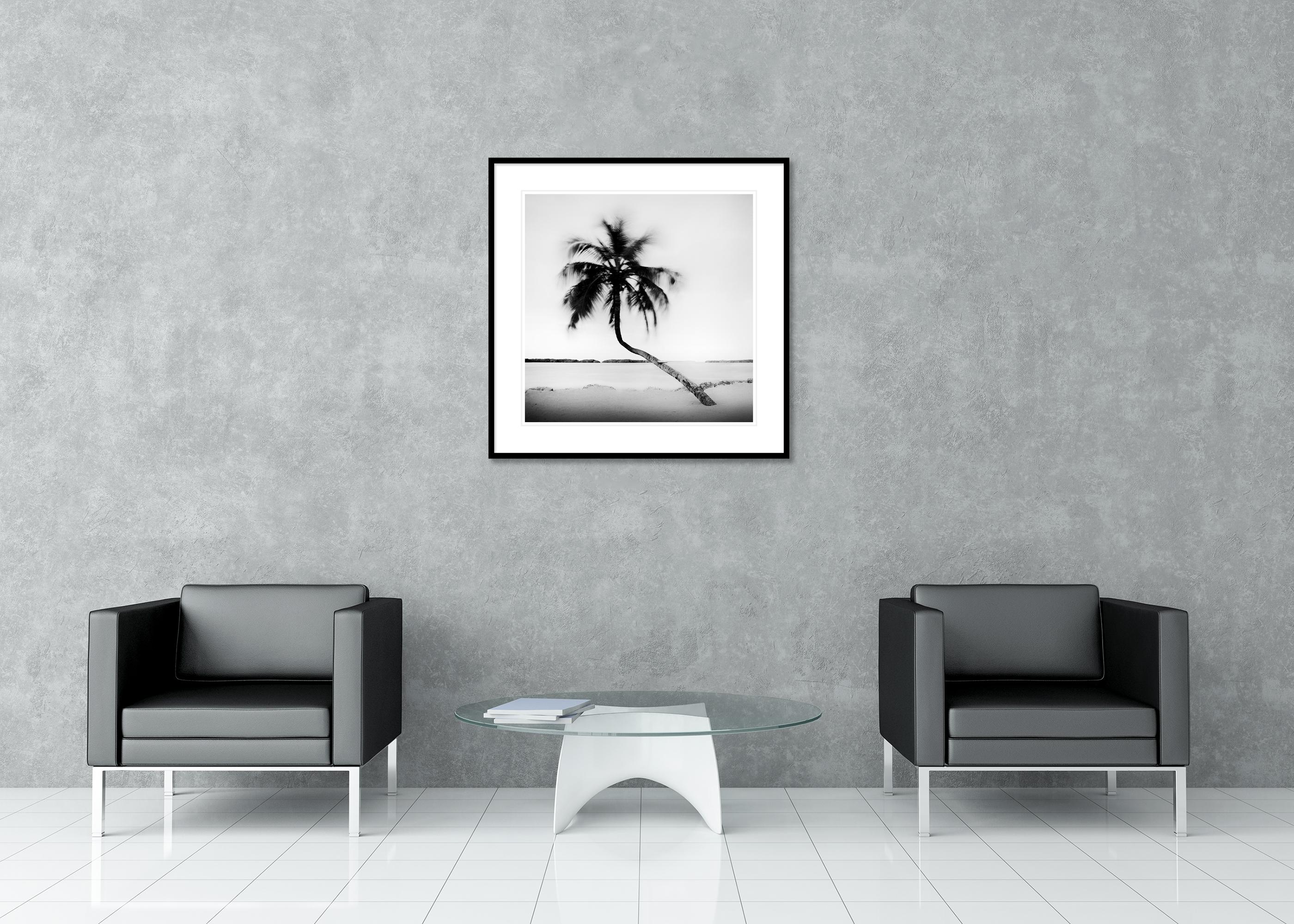 Bent Palm Beach Florida USA For Sale 2