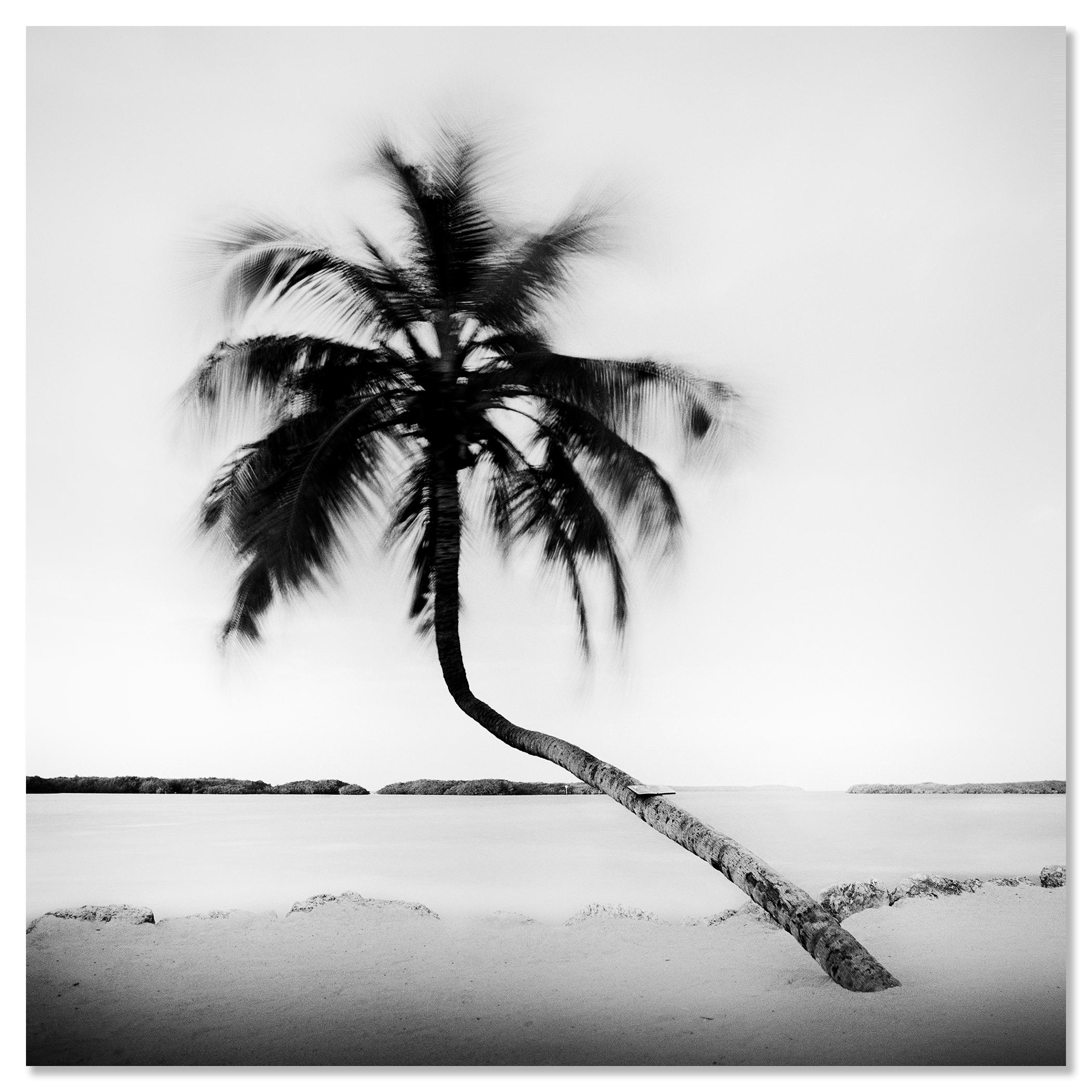 Bent Palm Beach Florida USA For Sale 3