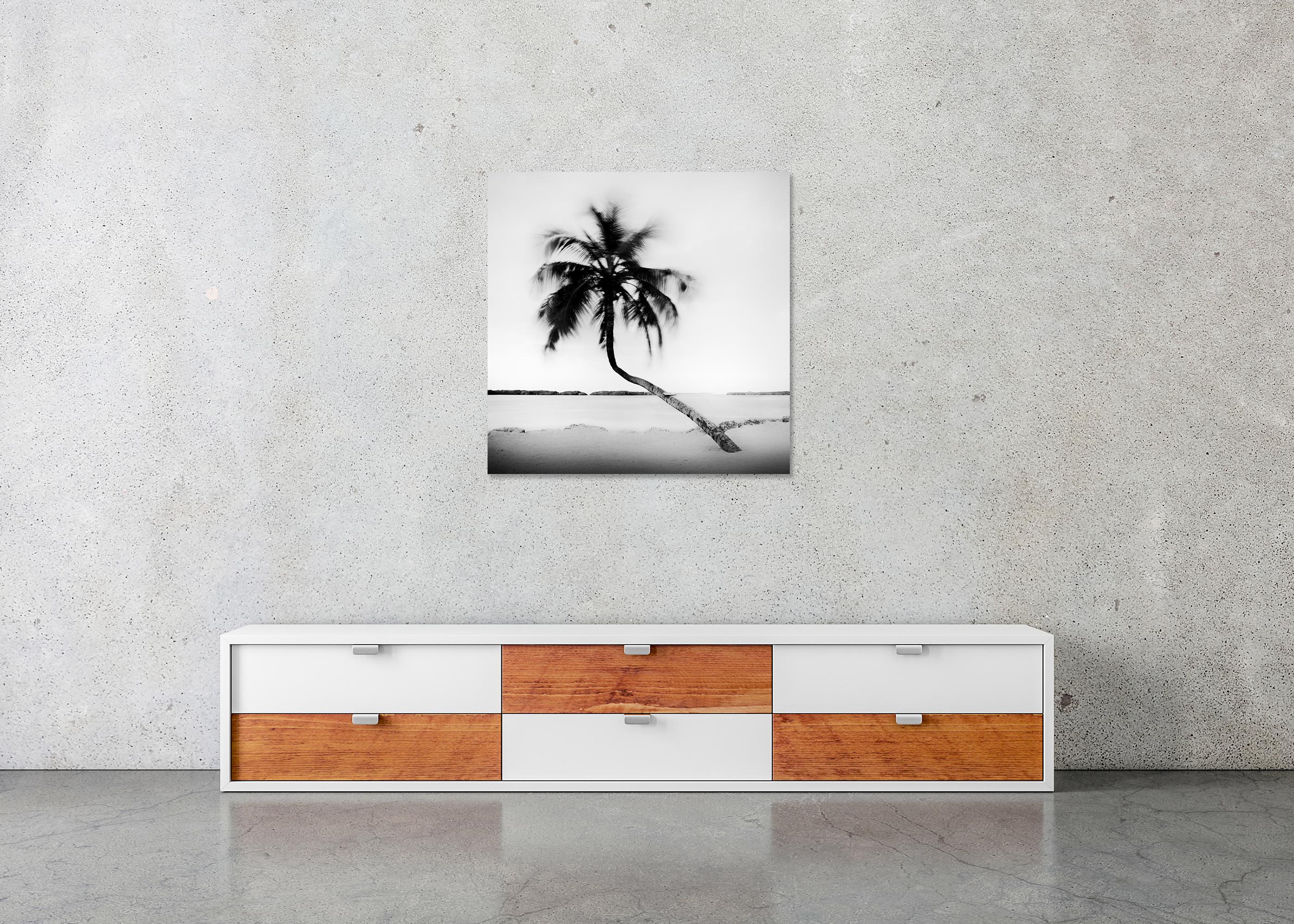 Bent Palm Beach Florida USA For Sale 4