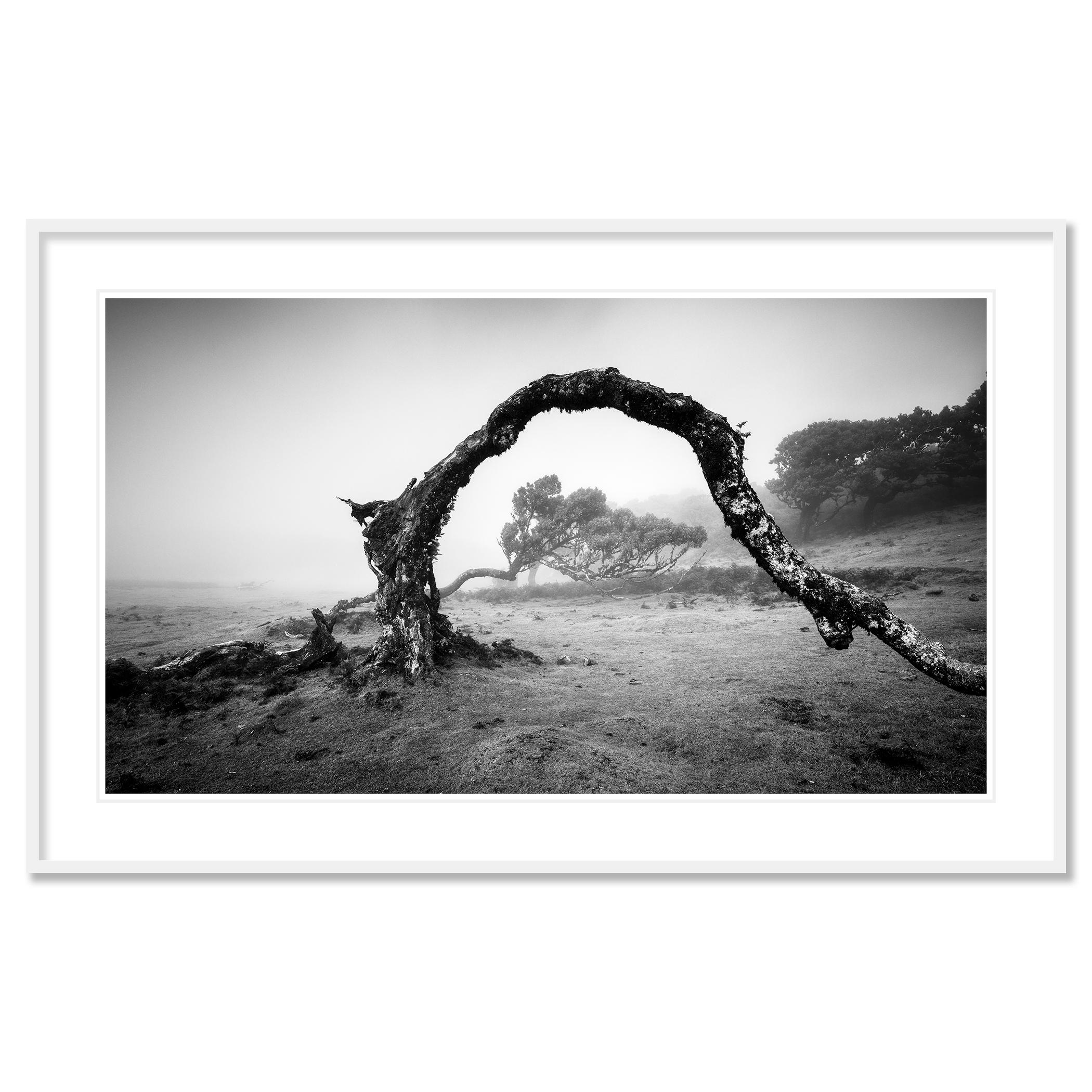 Photographie de paysage en noir et blanc. Tirage à l'encre pigmentaire d'archives faisant partie d'une édition limitée à 7 exemplaires. Tous les tirages de Gerald Berghammer sont réalisés sur commande en édition limitée sur papier baryté Hahnemuehle