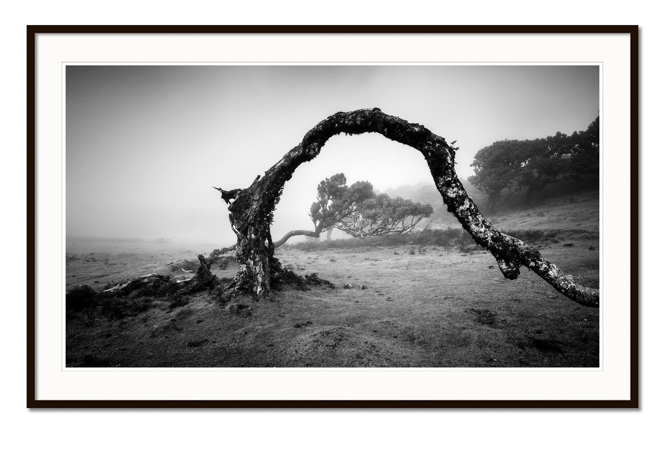 Schwarz-Weiß-Fotografie von Landschaften. Pigmenttintendruck in einer limitierten Auflage von 7 Exemplaren. Alle Drucke von Gerald Berghammer werden auf Bestellung in limitierter Auflage auf Hahnemuehle Photo Rag Baryta hergestellt. Jeder Druck ist