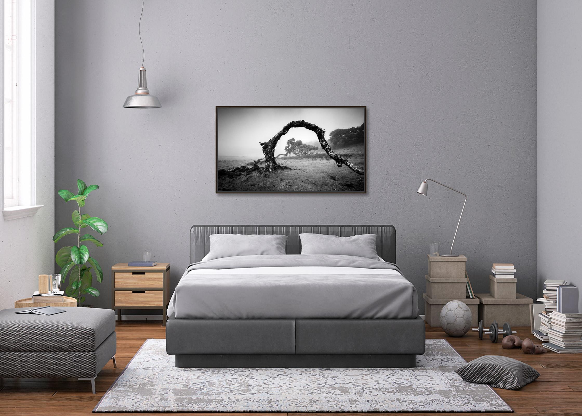 Gebogener Baum im Nebel, Madeira, Schwarz-Weiß, Panorama, Landschaft, Fotografie im Angebot 3