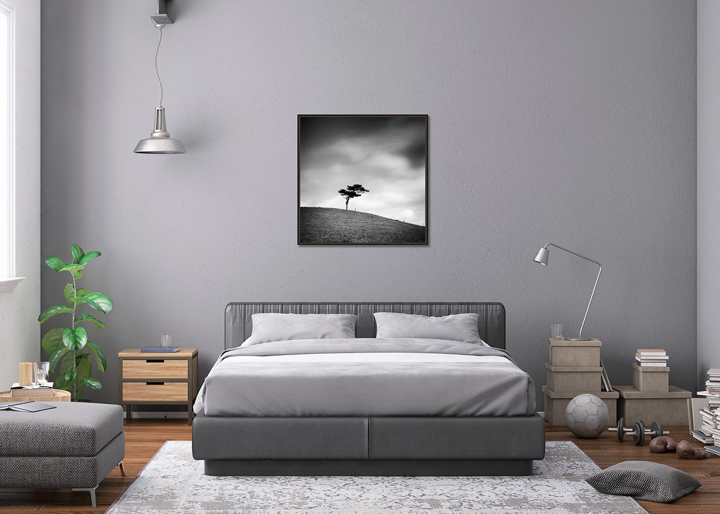 Beware of the Bull, ein einzelner Baum, Irland, Schwarz-Weiß-Fotografie, Landschaft im Angebot 1