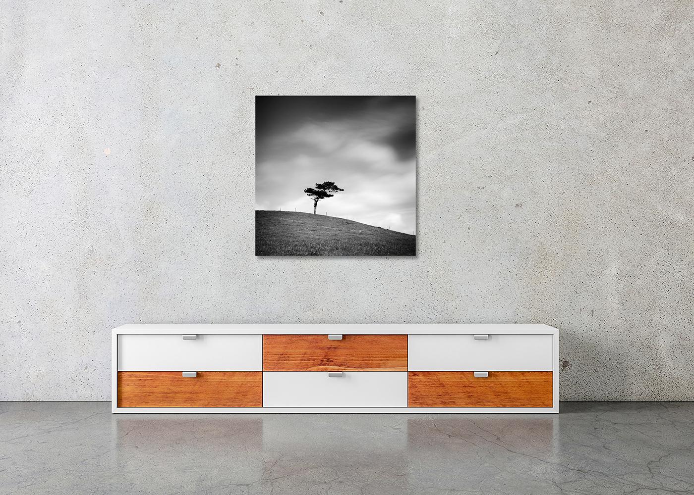 Beware of the Bull, ein einzelner Baum, Irland, Schwarz-Weiß-Fotografie, Landschaft im Angebot 2