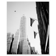 „Bird in the City“, New York City, USA, Schwarz-Weiß-Foto einer Stadtlandschaft
