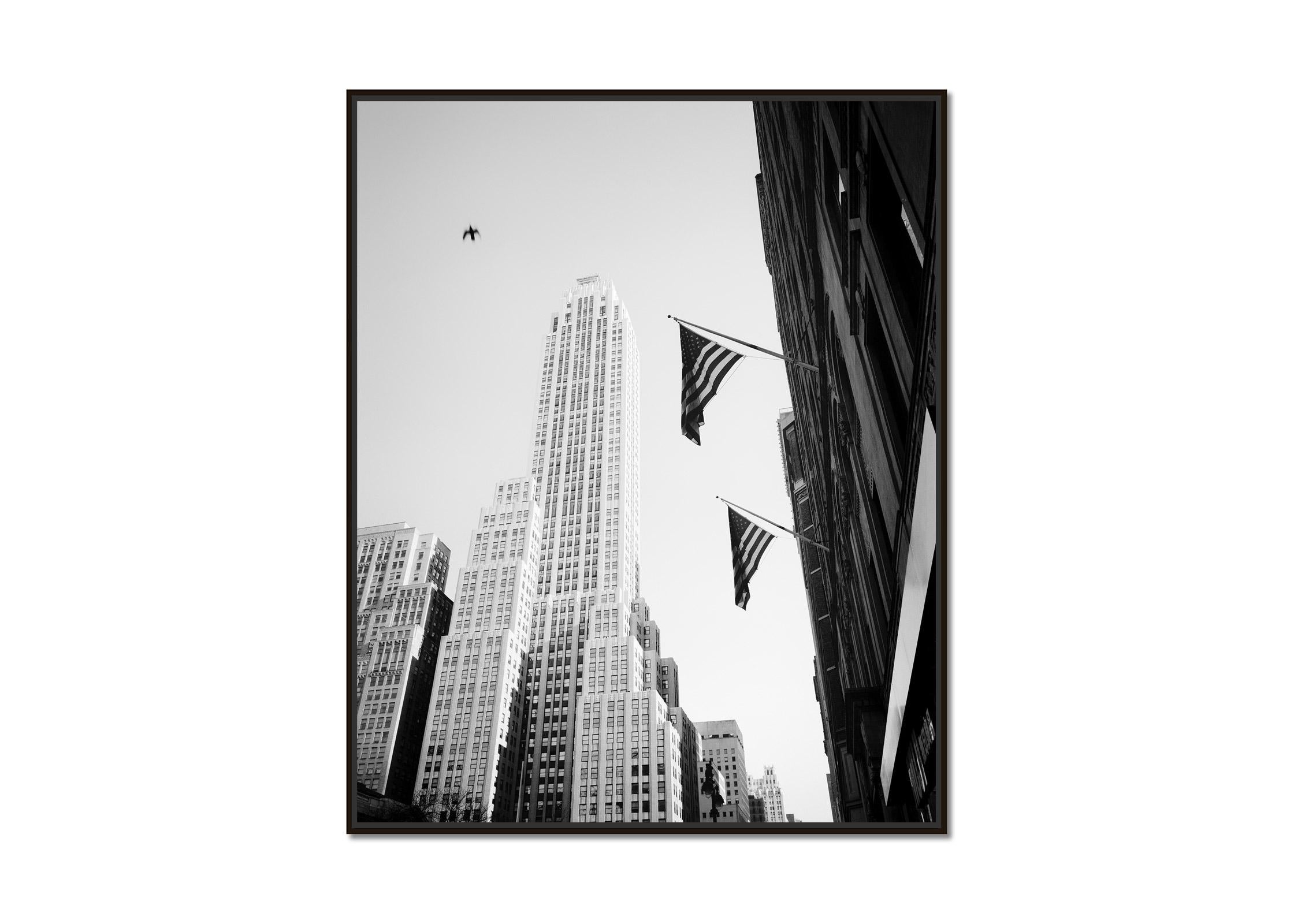 Bird in the City, New York City, USA, black and white photography, cityscape  - Photograph by Gerald Berghammer