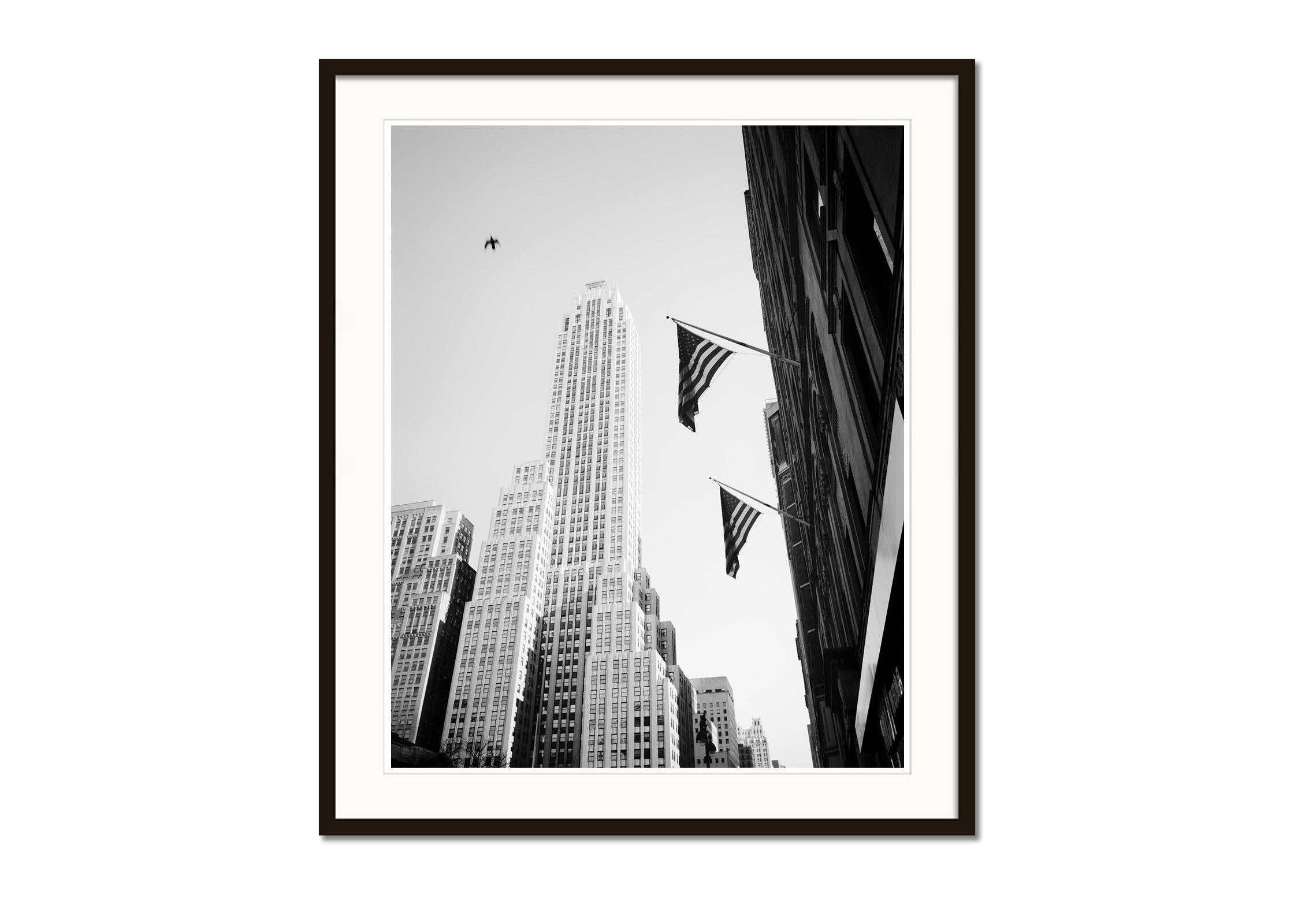 Bird in the City, New York City, USA, black and white photography, cityscape  - Gray Black and White Photograph by Gerald Berghammer