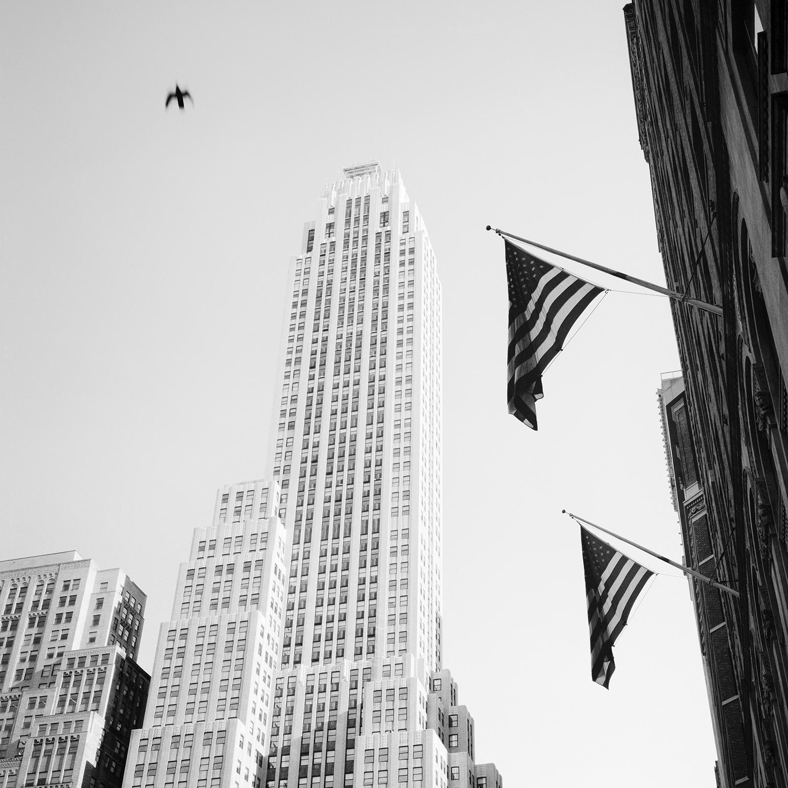Bird in the City, New York City, USA, Schwarz-Weiß-Fotografie, Stadtlandschaft  im Angebot 3