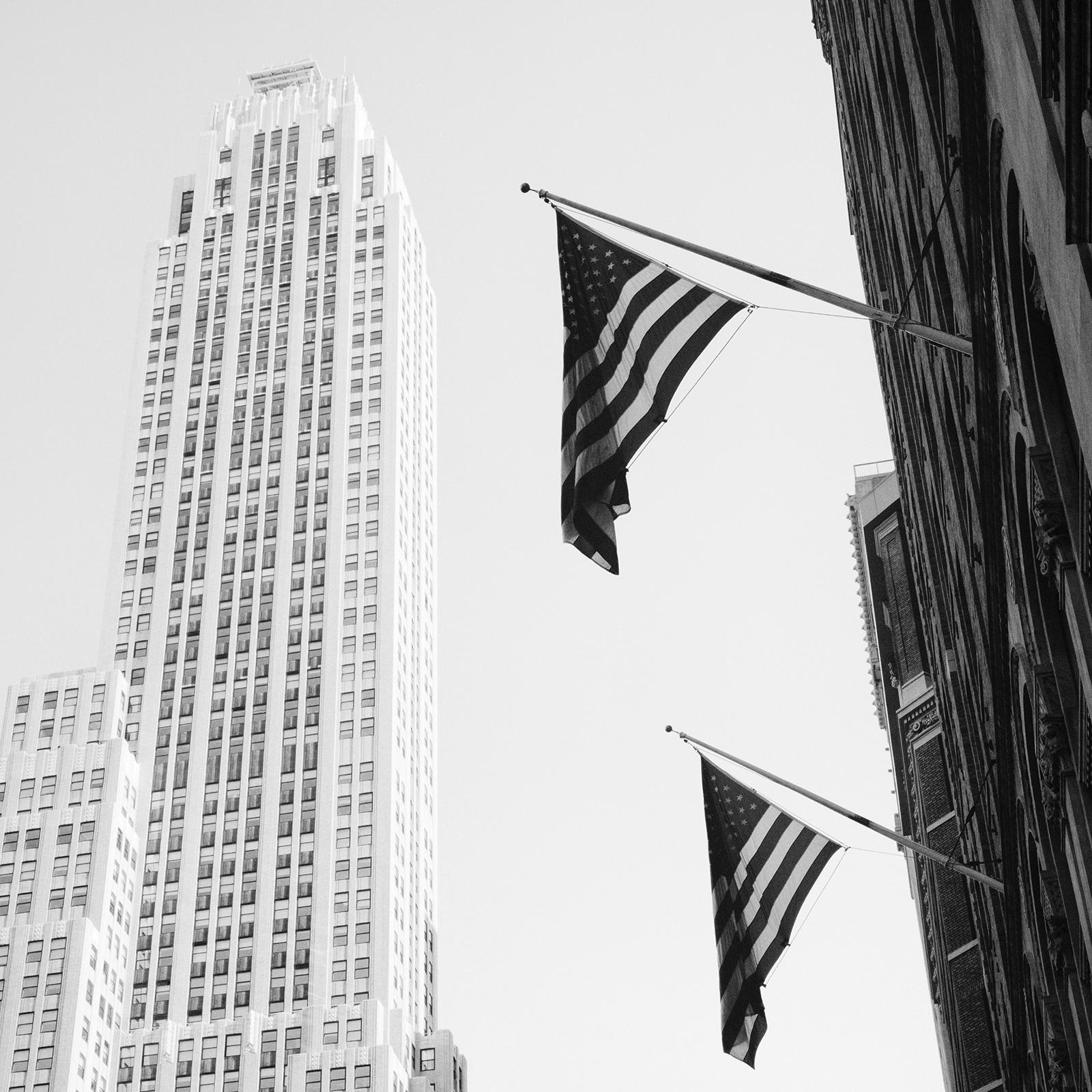 Bird in the City, New York City, USA, black and white photography, cityscape  For Sale 4