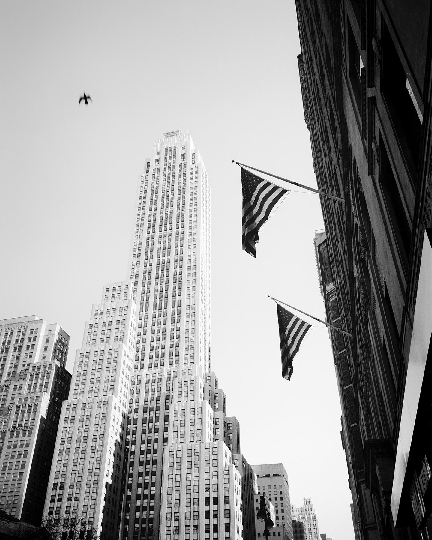 Black and White Photograph de Gerald Berghammer - Pájaro en la ciudad, Nueva York, EE.UU., fotografía en blanco y negro, paisaje urbano