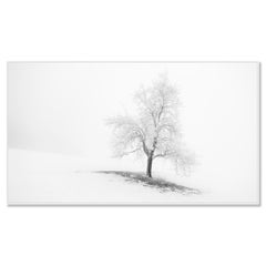 Black and White Frosted Tree Panorama, Minimalist Winter Landscape Photograph