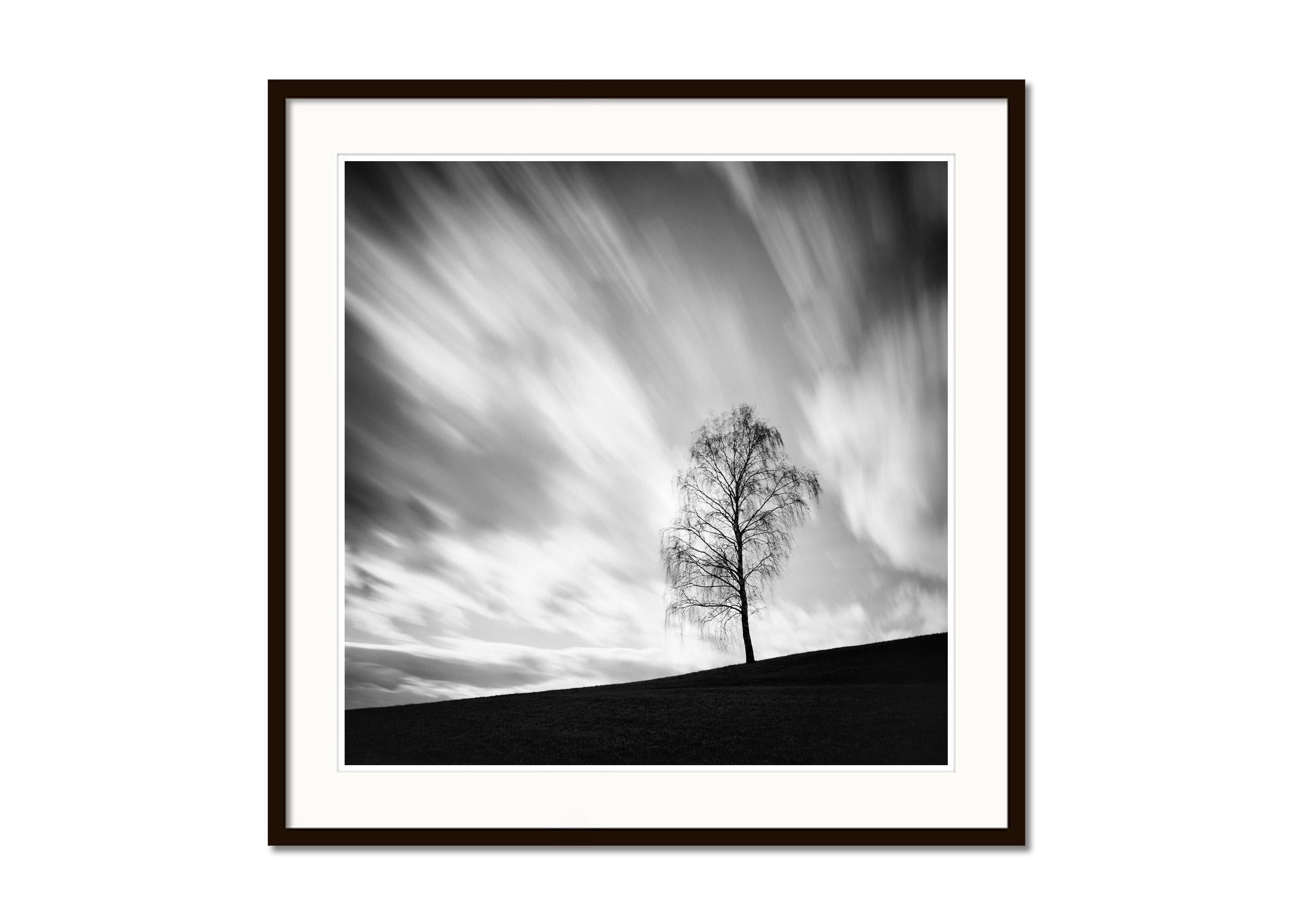 Black and White Fine Art Photography - Single tree on a hill with heavy clouds, long exposure. Archival pigment ink print, edition of 20. Signed, titled, dated and numbered by artist. Certificate of authenticity included. Printed with 4cm white
